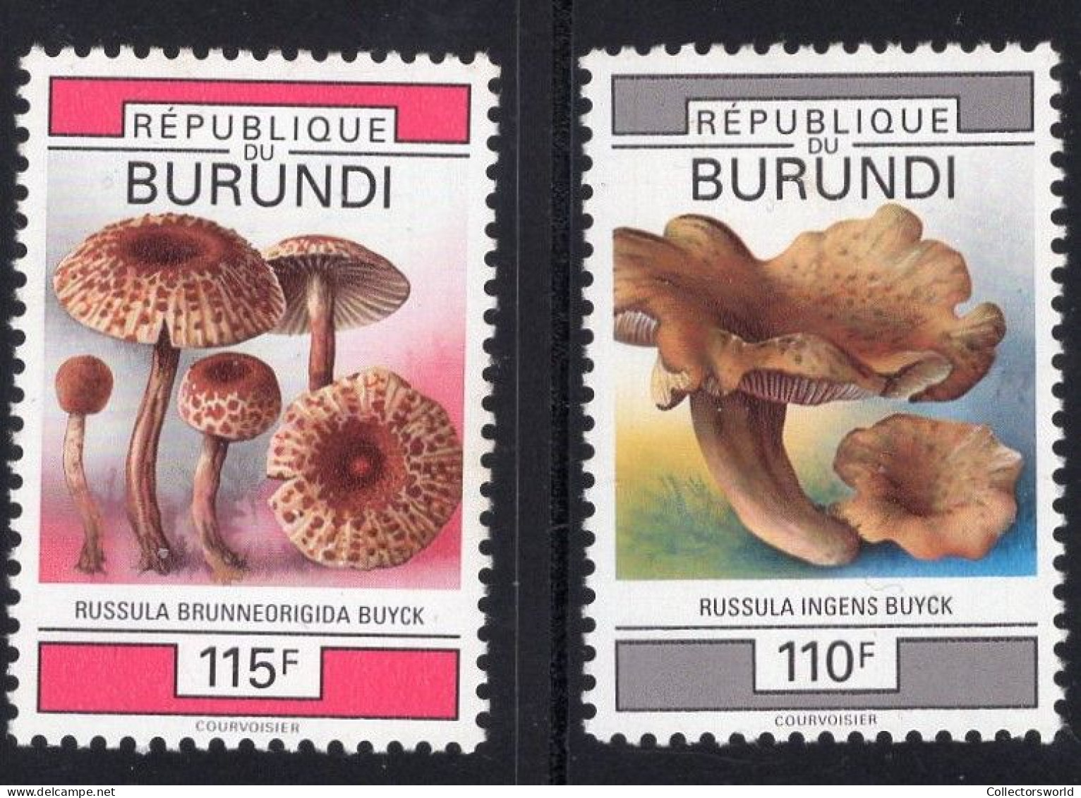 Burundi 1993 Serie 2v Fungi Champignons Mushrooms Bolete MNH - Nuevos