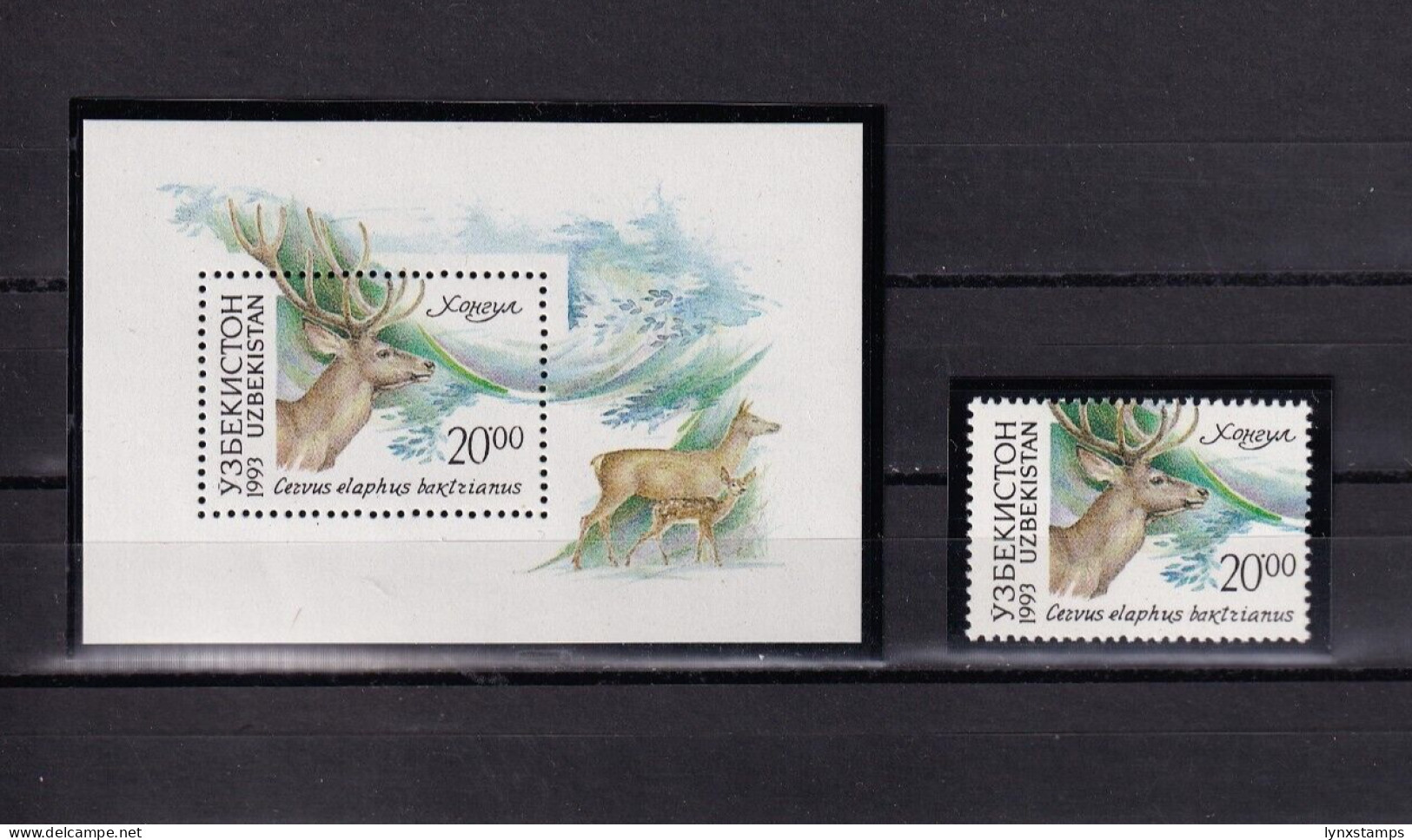 SA01 Uzbekistan 1993 Fauna Of Uzbekistan Mini Sheet+Mint Stamp - Uzbekistán