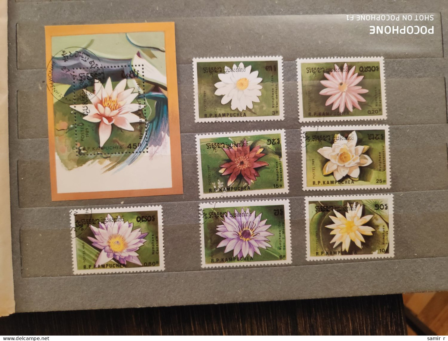 1989	Kampuchea	Flowers (F84) - Kampuchea