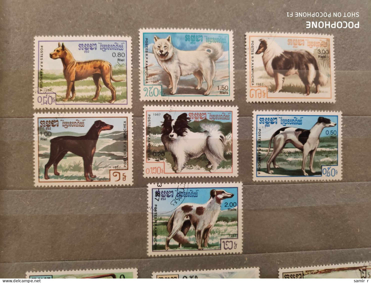 1987	Kampuchea	Dogs (F84) - Kampuchea