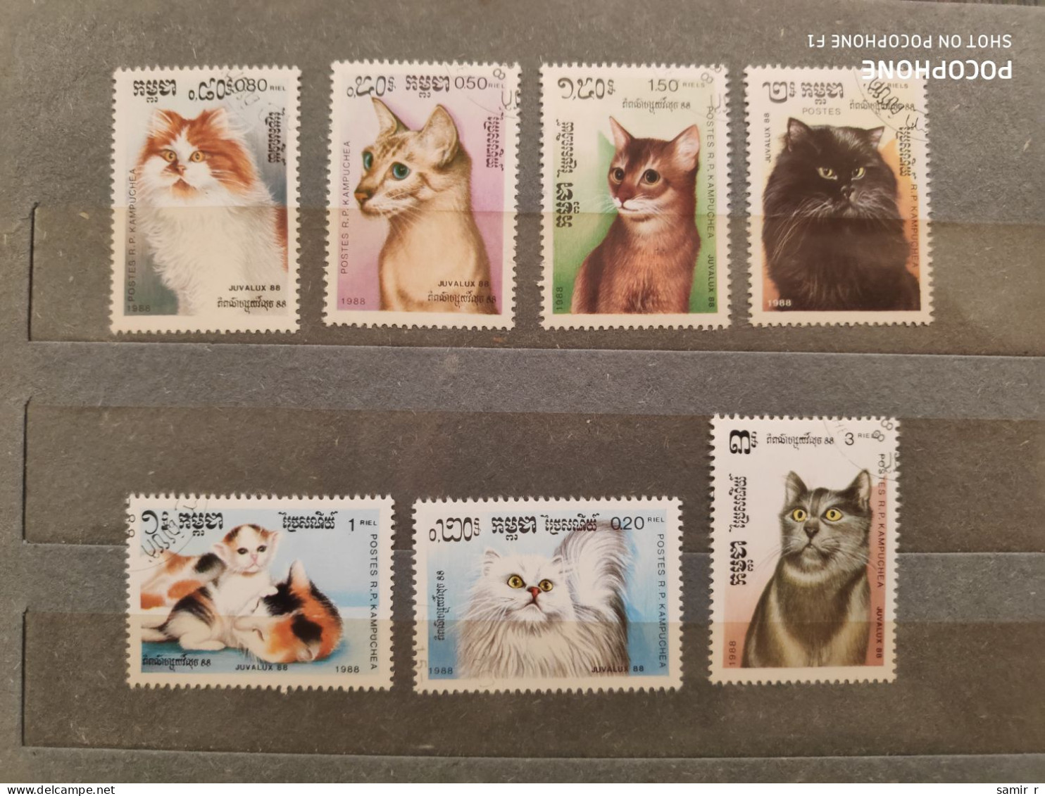 1988	Kampuchea	Cats (F84) - Kampuchea