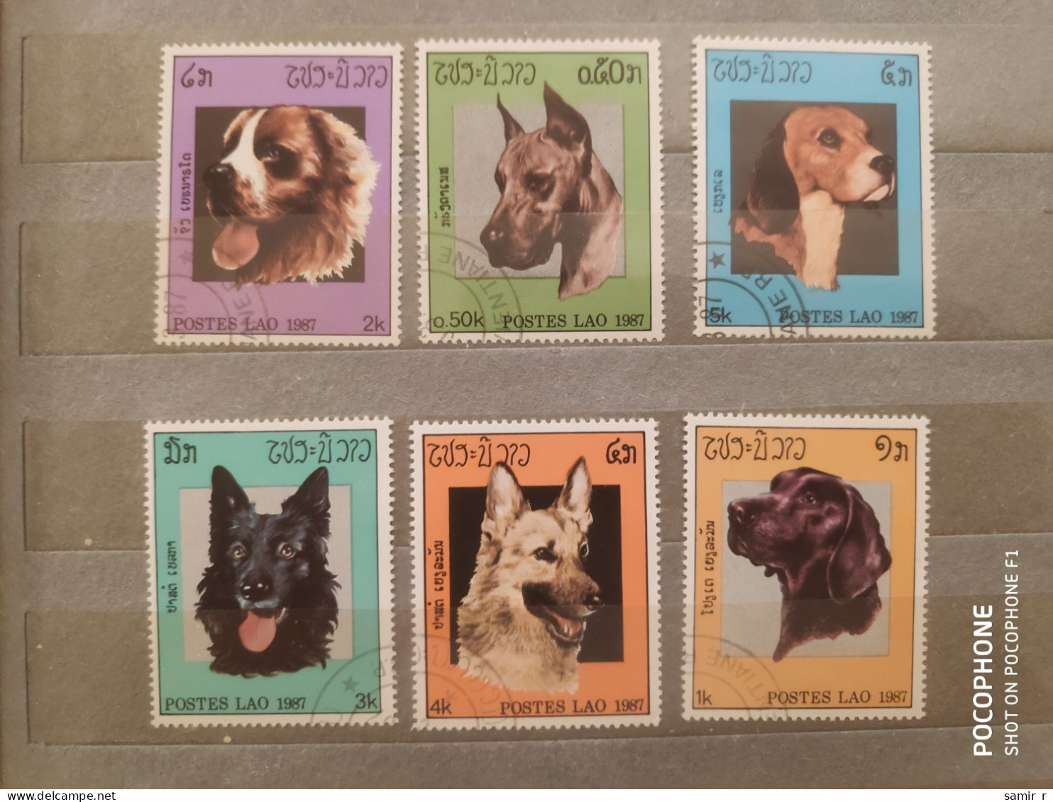 1987	Laos	Dogs (F84) - Laos