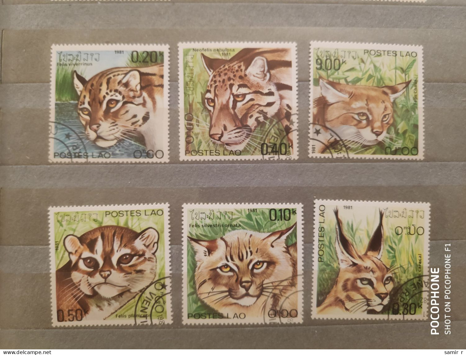 1981	Laos	Animals (F84) - Laos