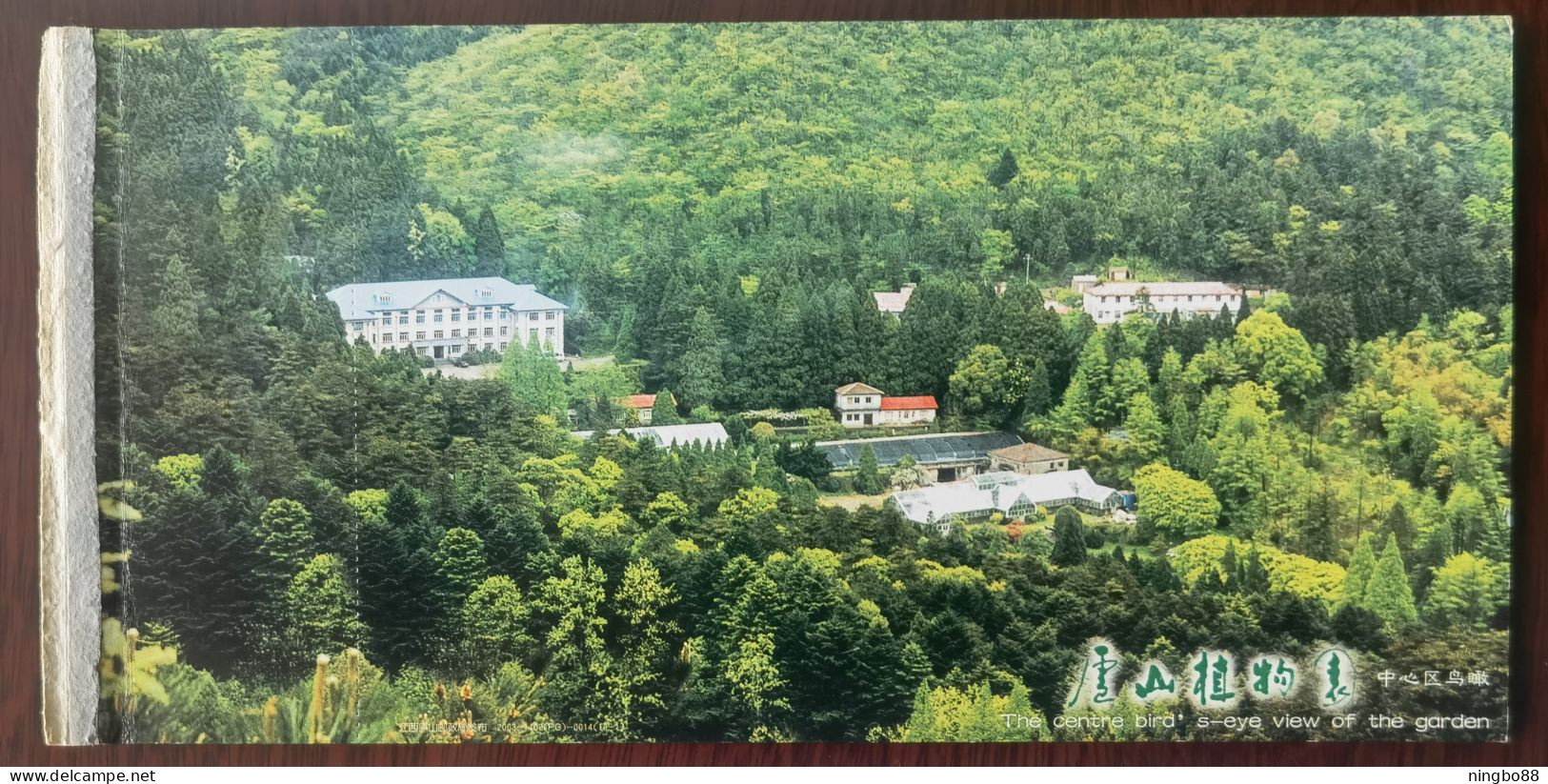 Bird View Central Cedar Forest,China 1999 Lushan Botanical Garden Advertising Pre-stamped Card - Bäume