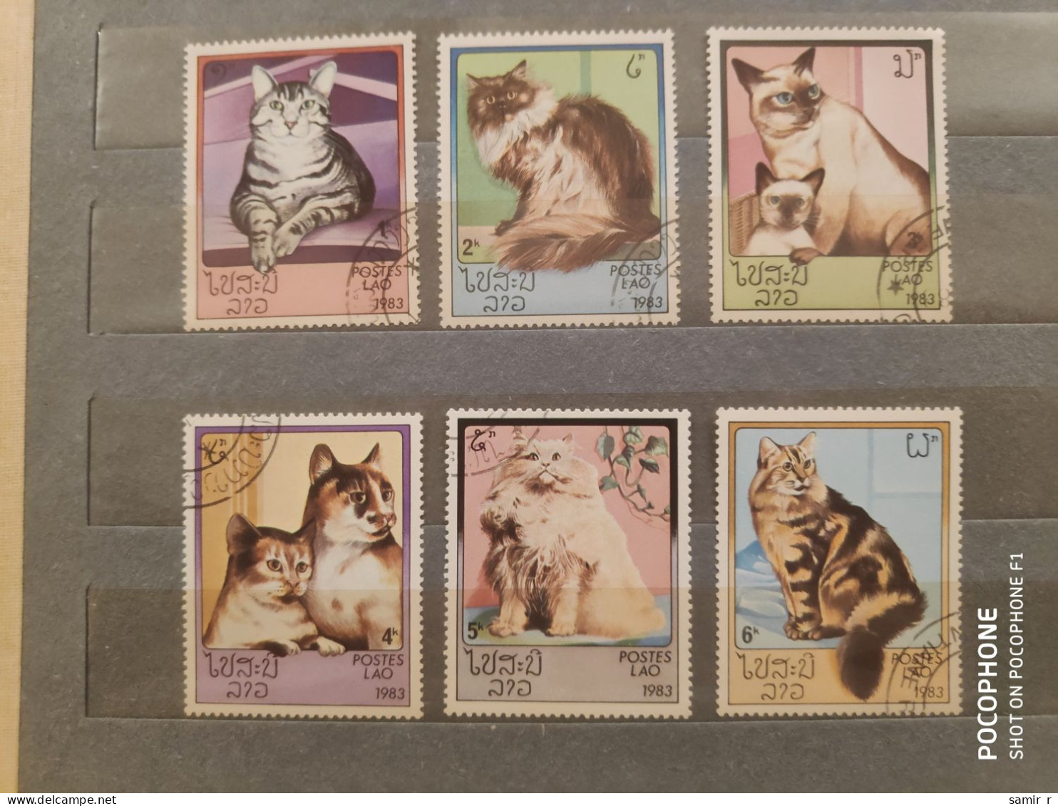 1983	Laos	Cats (F84) - Laos
