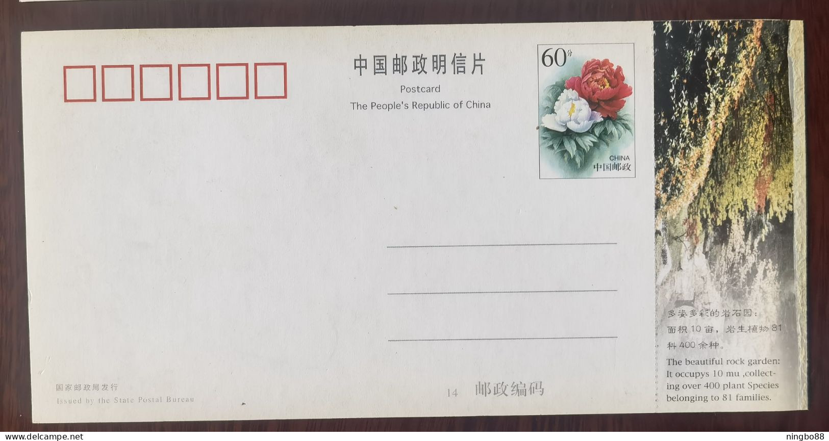 Rock Plant In Rock Park,China 1999 Lushan Botanical Garden Advertising Pre-stamped Card - Trees