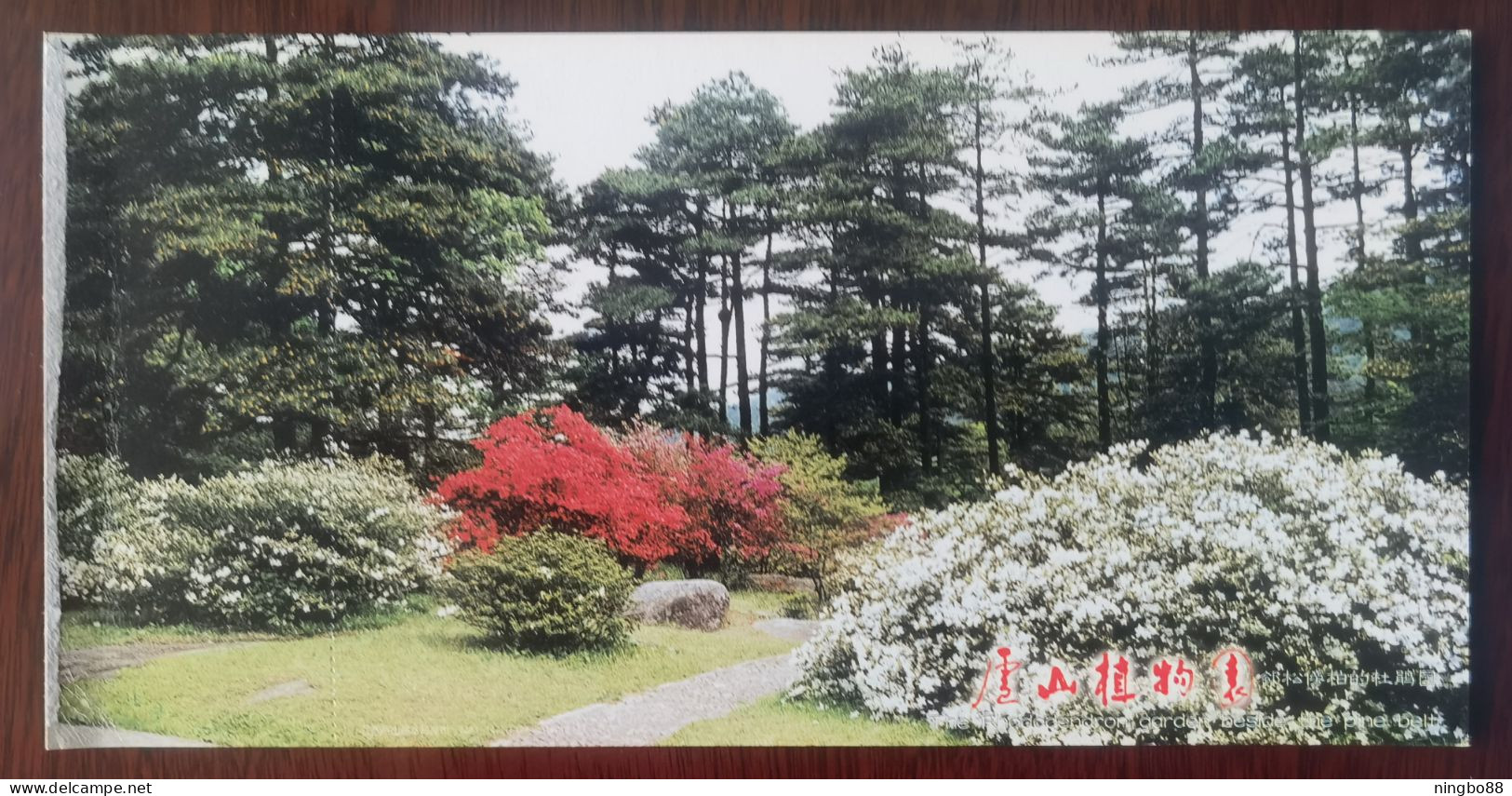 Rhododendron Simsii Flower Near Pine And Cypress Trees Park,China 1999 Lushan Botanical Garden Advert Pre-stamped Card - Trees