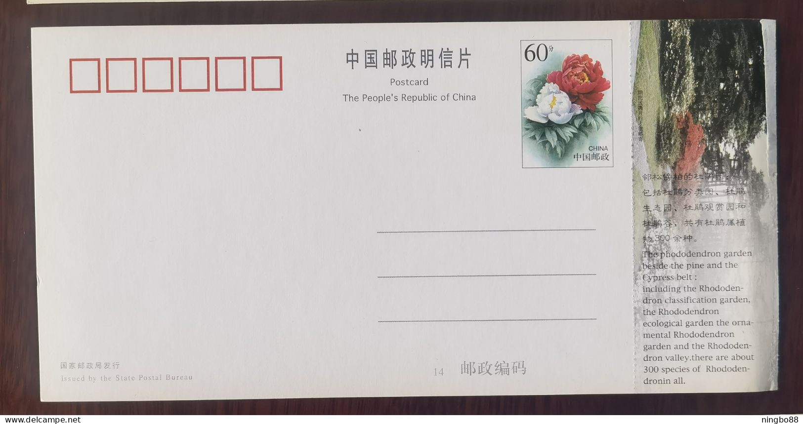 Rhododendron Simsii Flower Near Pine And Cypress Trees Park,China 1999 Lushan Botanical Garden Advert Pre-stamped Card - Trees