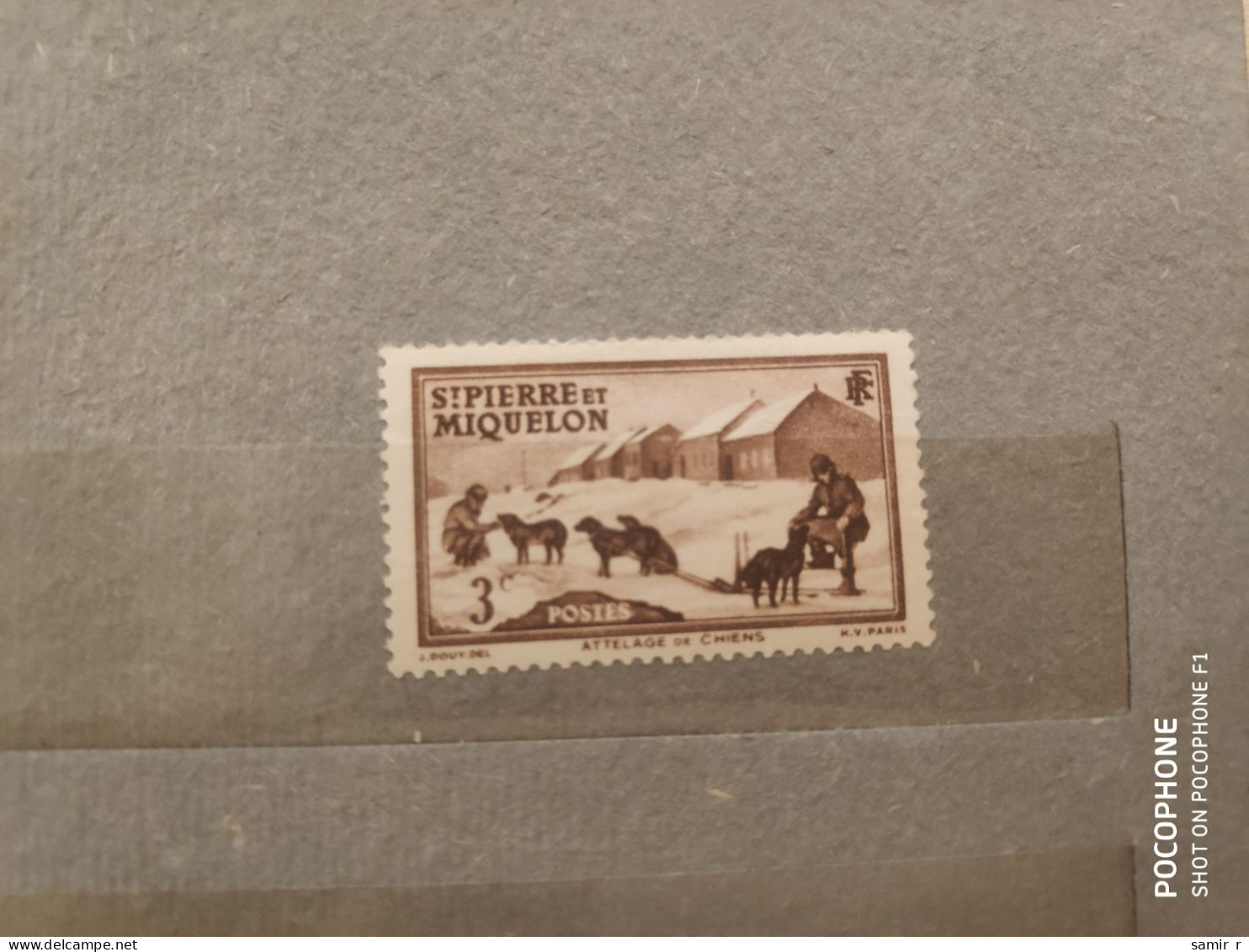 1938	Pierre Miquelon	Animals Dogs (F84) - Unused Stamps