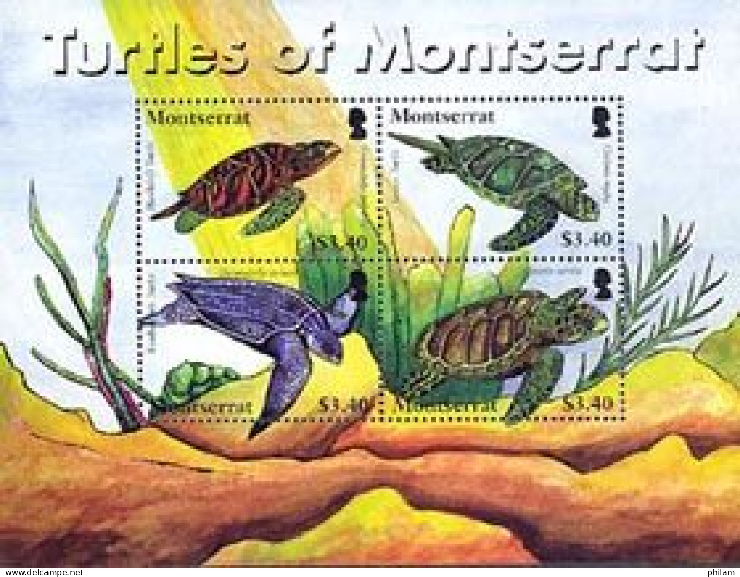 MONTSERRAT 2007 -  Tortues De Montserrat - 4 V. - Montserrat