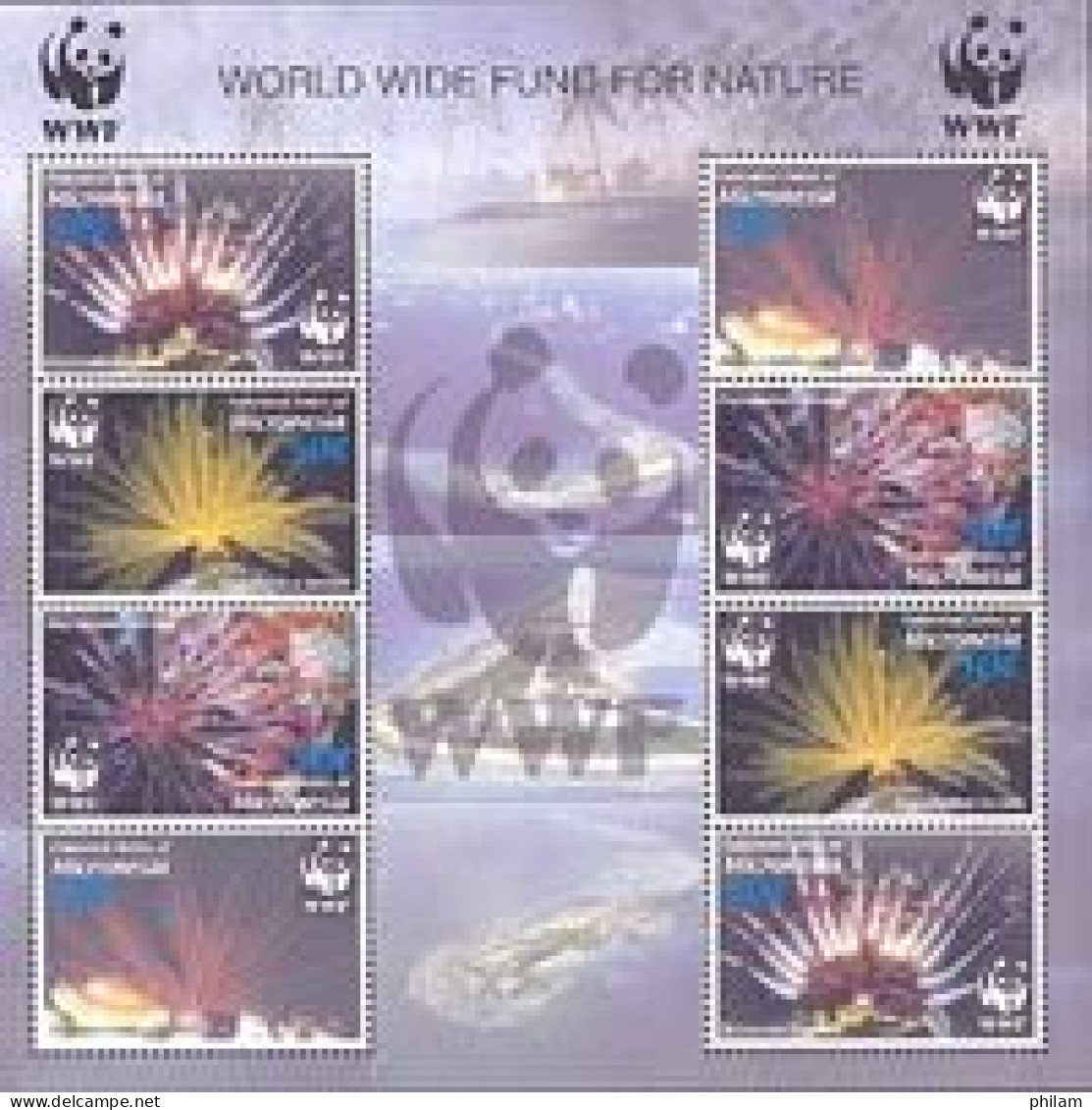 MICRONESIE 2005 - W.W.F. - Etoiles De Mer - Bloc - Unused Stamps