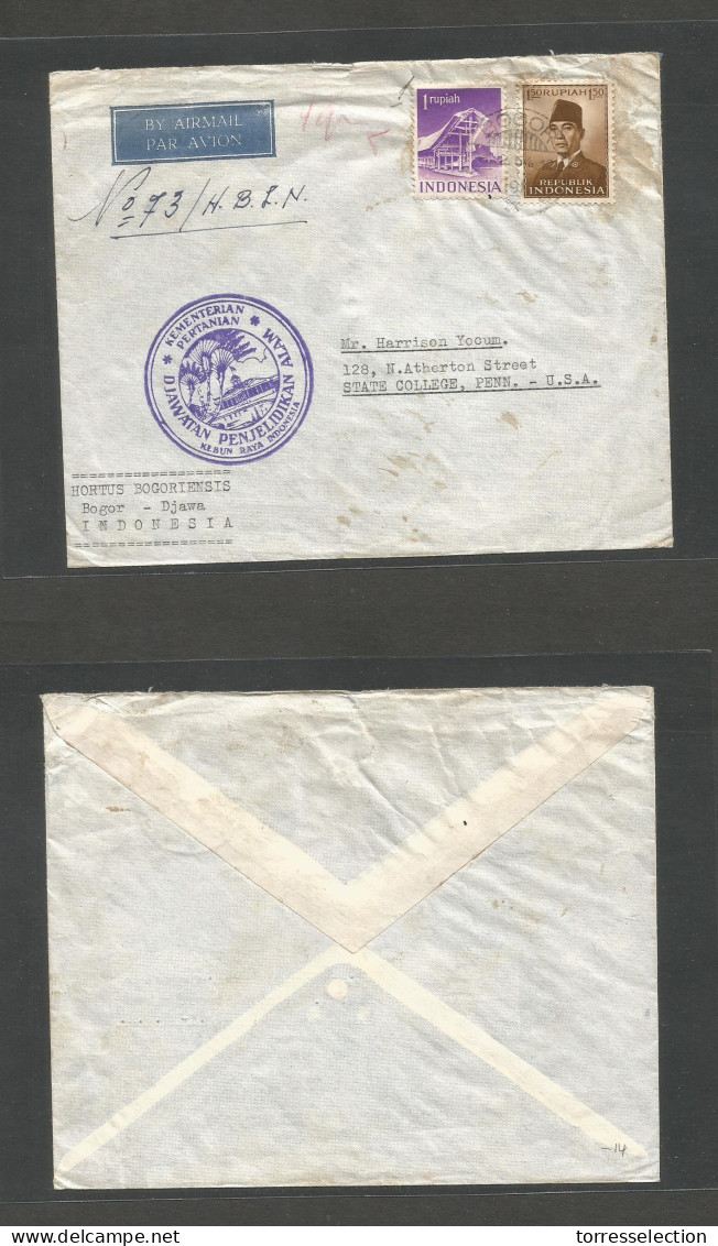 DUTCH INDIES. 1954 (11 Feb) Bogor - USA, State College, PA. Air Fkd Env. Special Cachet. VF. - Indonesië