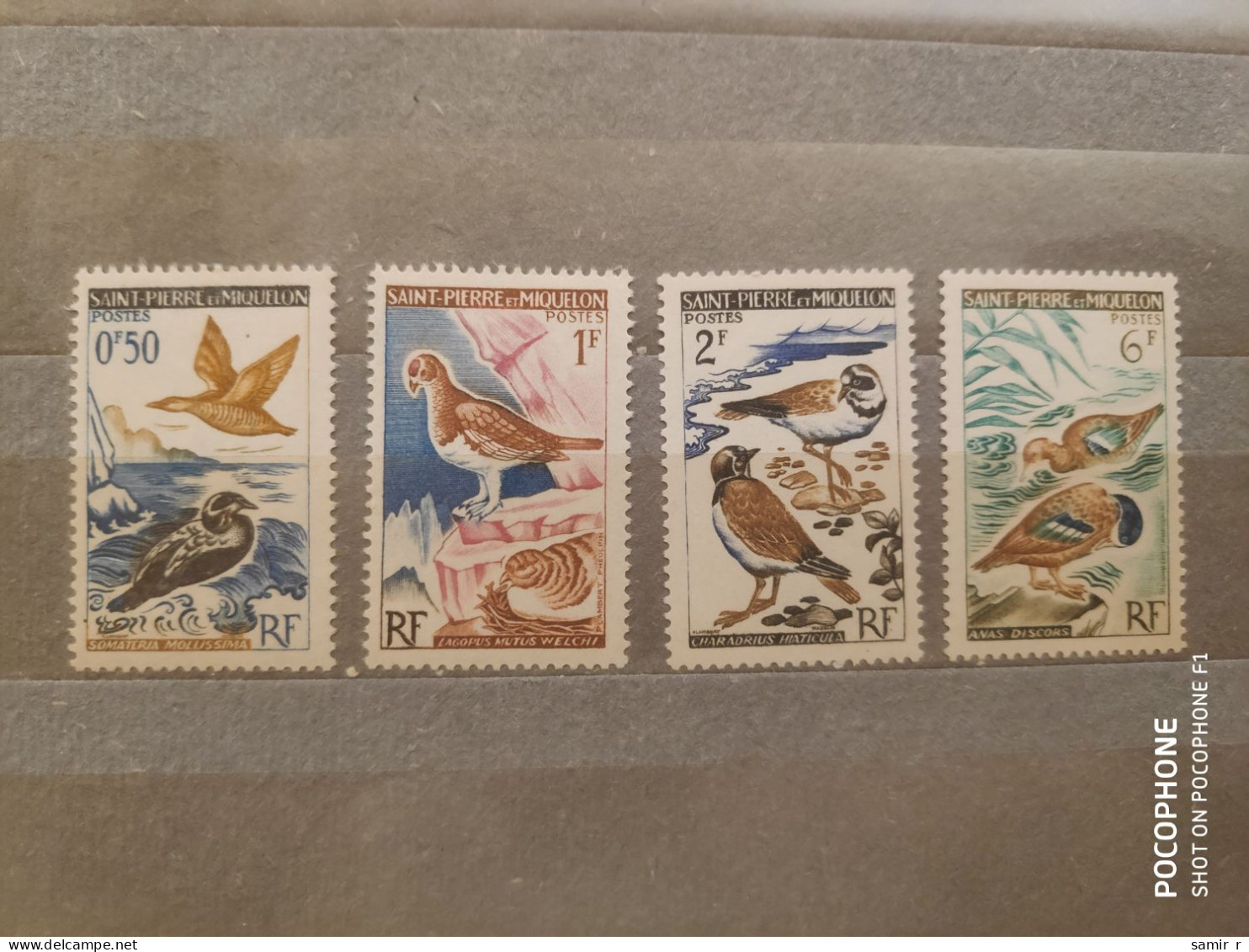 1963	Pierre Miquelon	Birds (F84) - Neufs