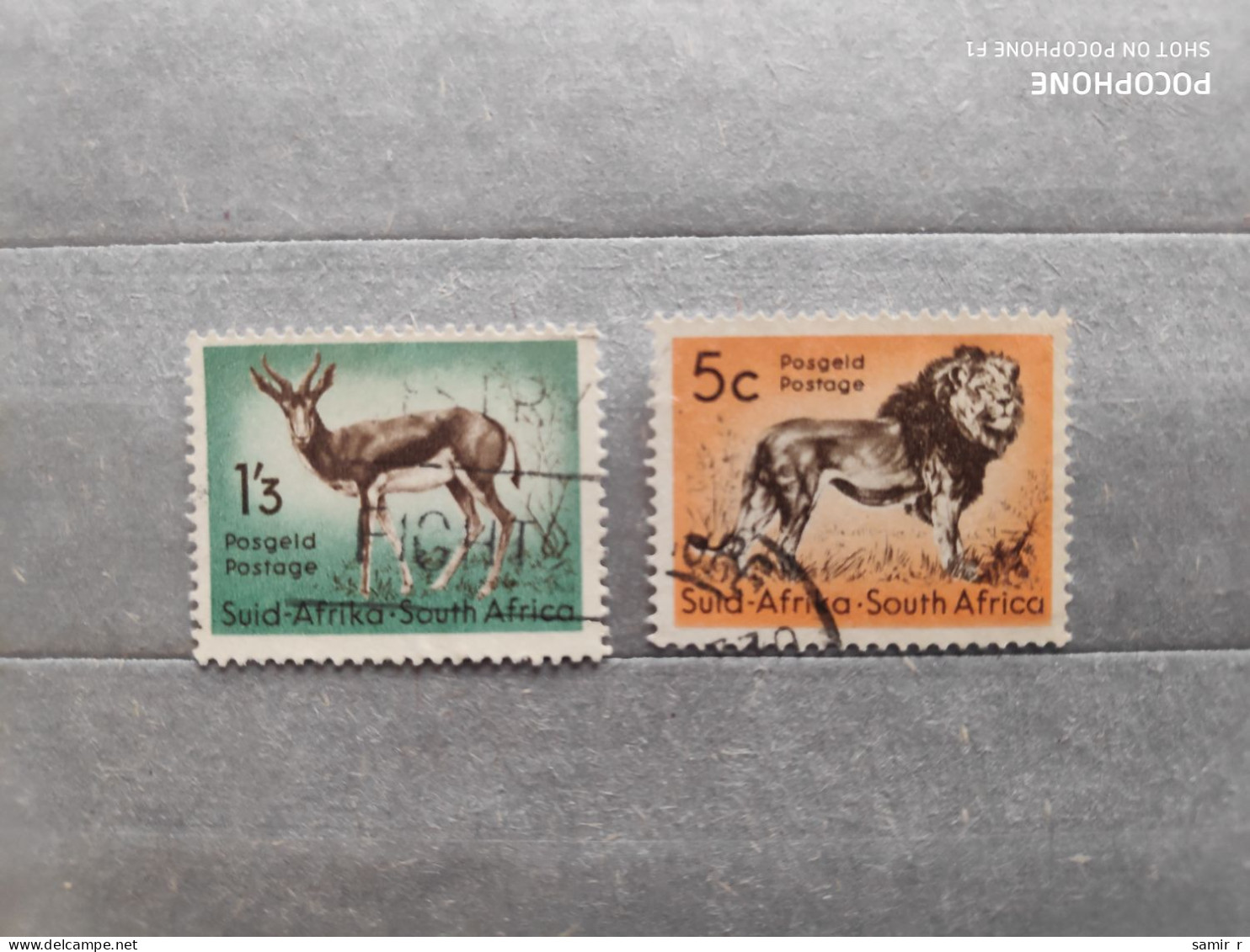 South Africa	Animals (F84) - Usati