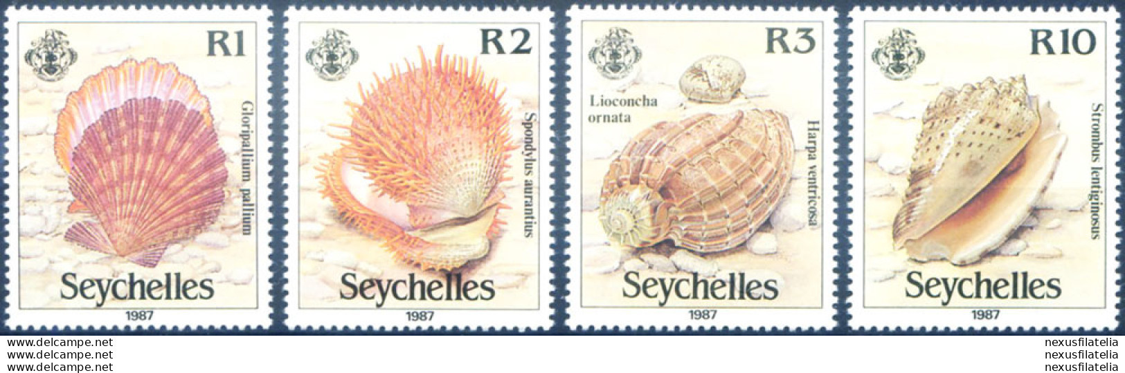 Conchiglie 1987. - Seychelles (1976-...)