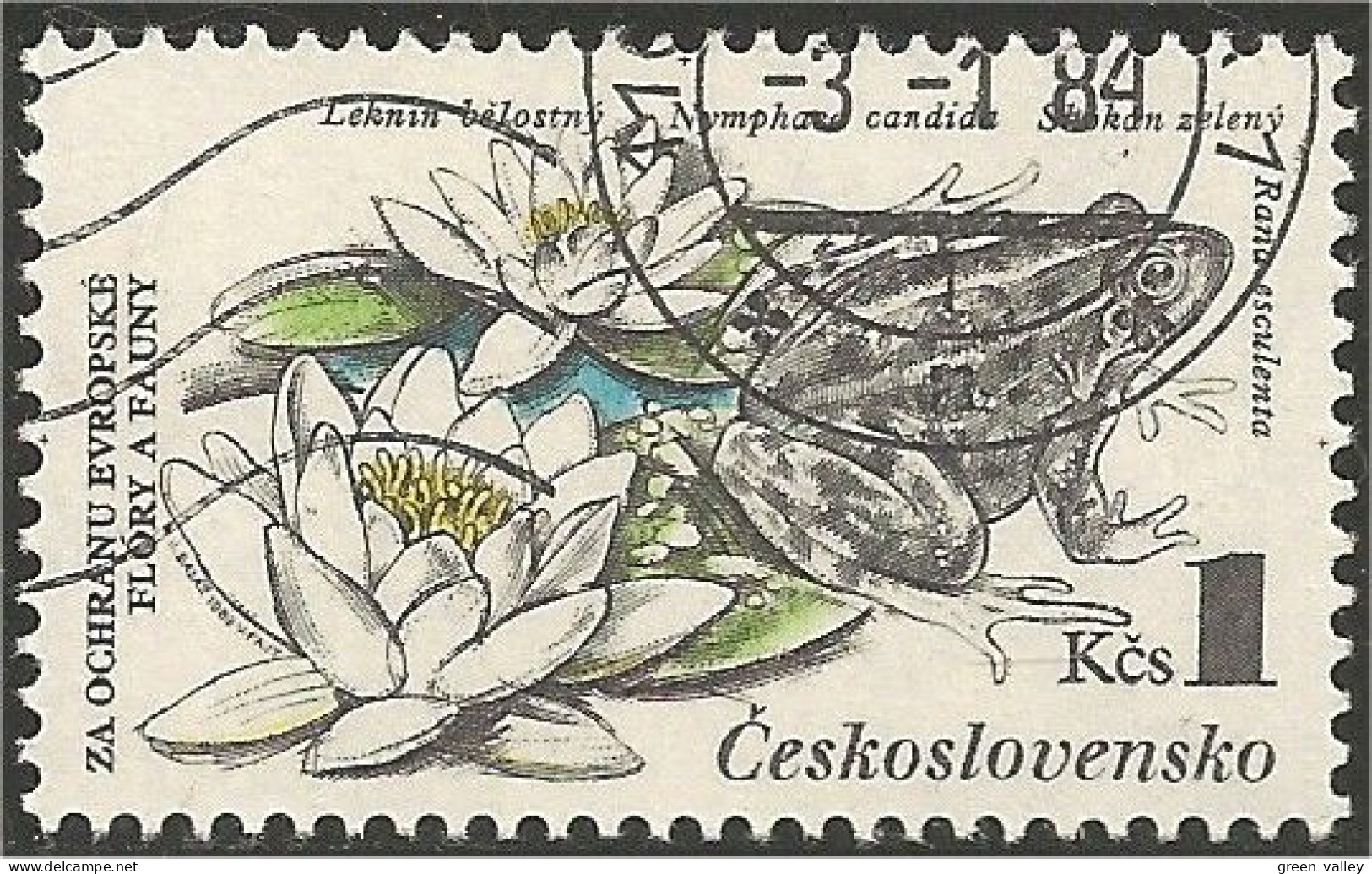 290 Czechoslovakia Grenouille Frog Frosch Rana (CZE-151) - Rane