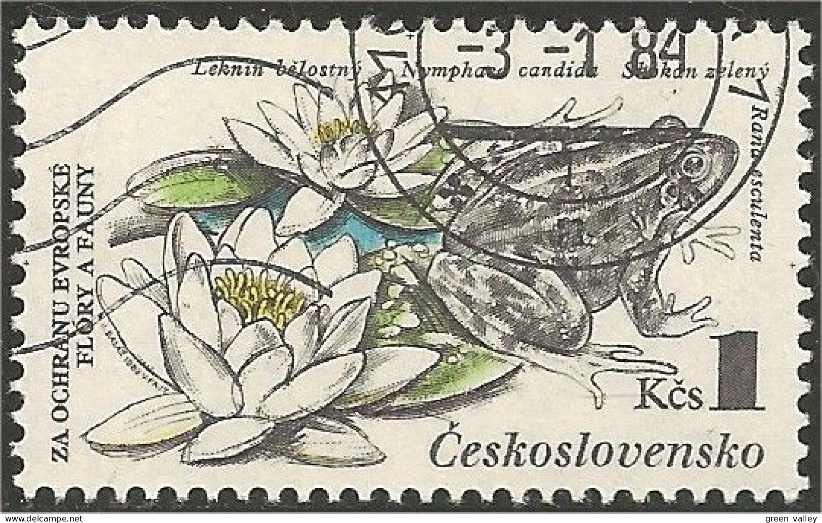 290 Czechoslovakia Grenouille Frog Frosch Rana (CZE-151) - Kikkers