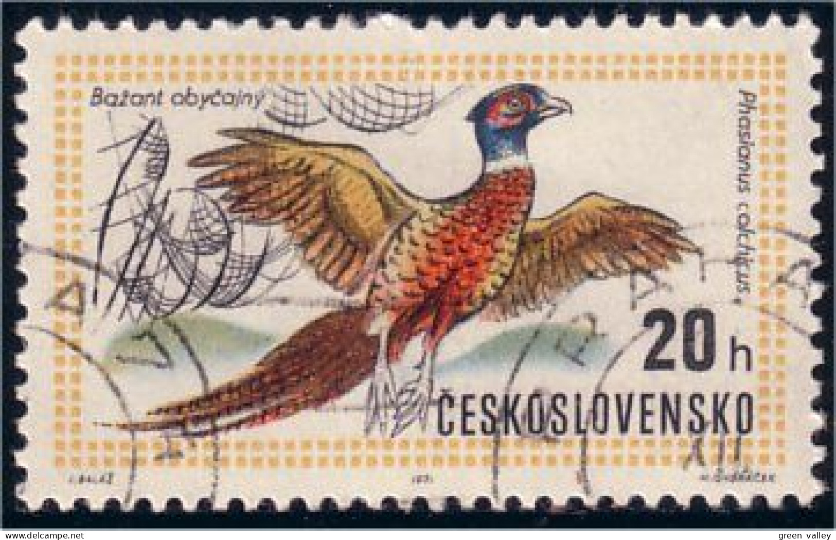 290 Czechoslovakia Faisan Pheasant Coq Rooster Cock (CZE-38) - Gallinaceans & Pheasants