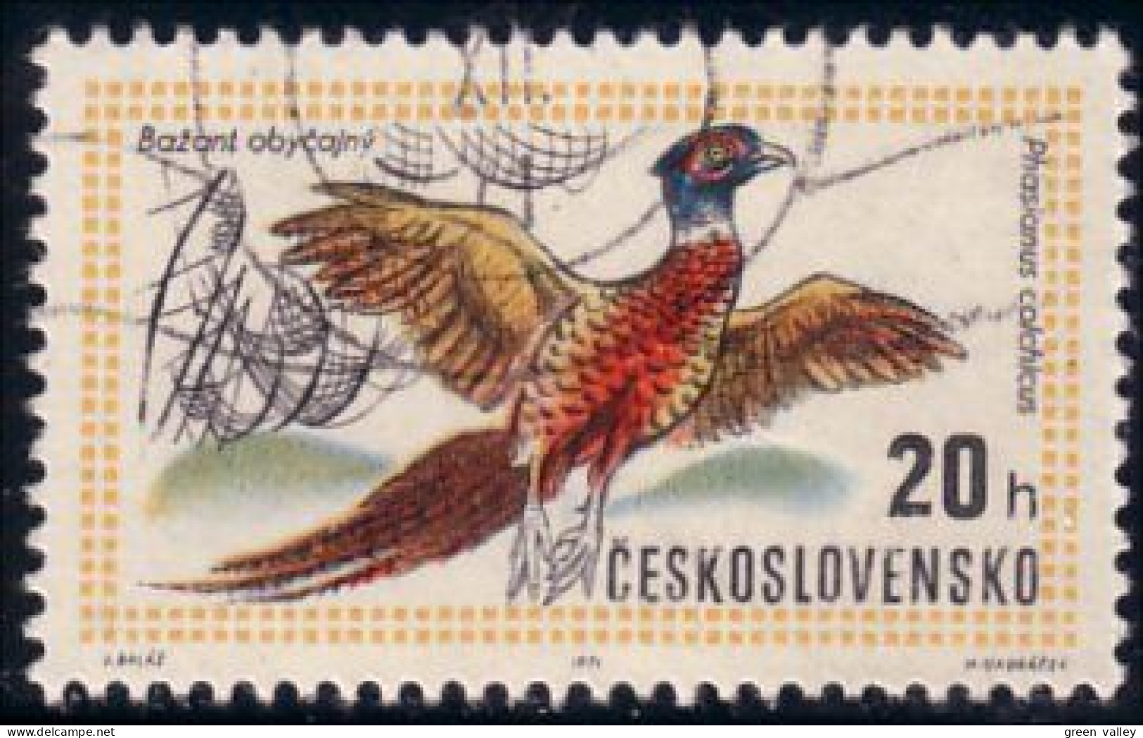 290 Czechoslovakia Faisan Pheasant Coq Rooster Cock (CZE-41) - Gallináceos & Faisanes