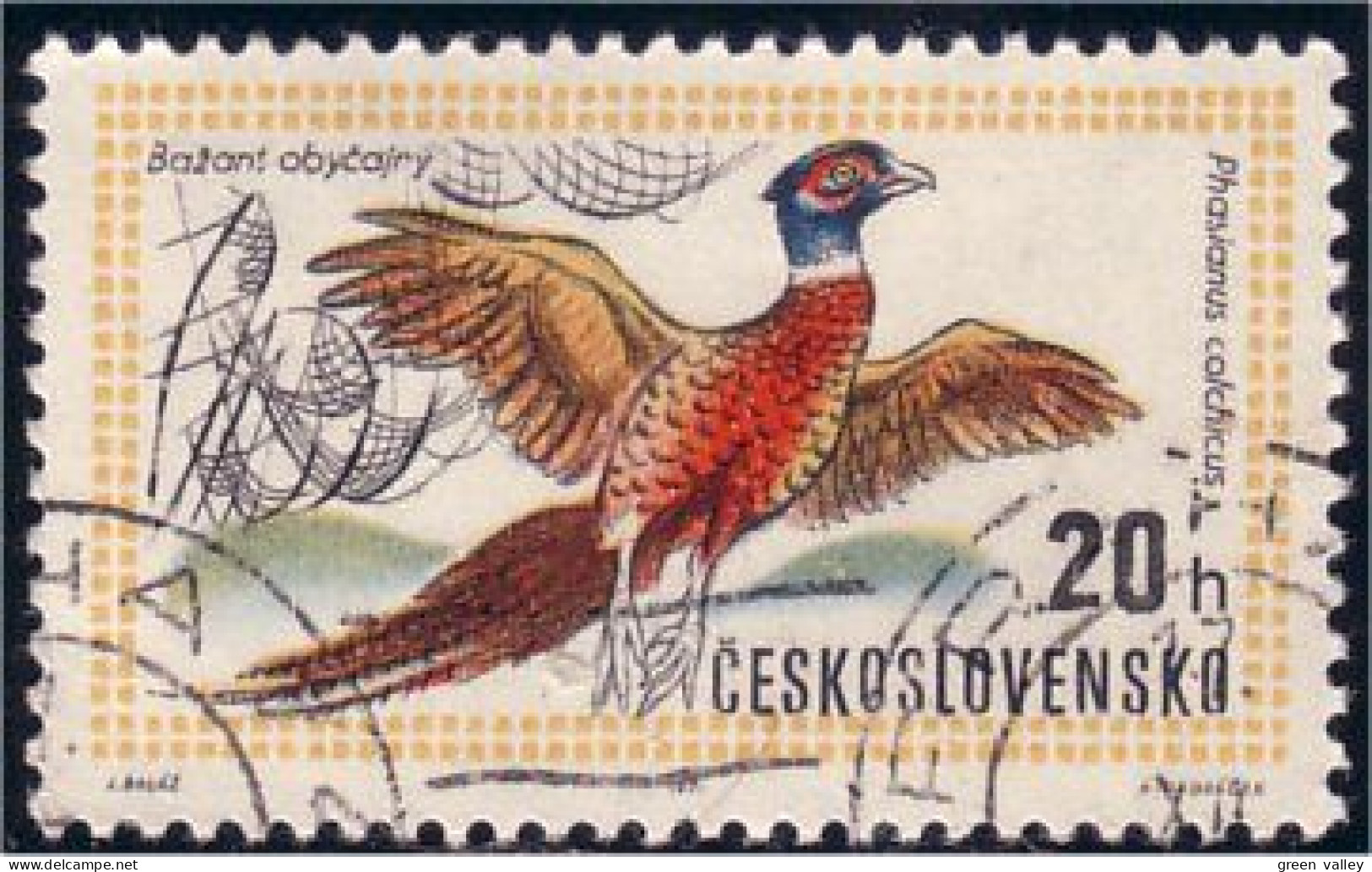 290 Czechoslovakia Faisan Pheasant Coq Rooster Cock (CZE-39) - Gallinacées & Faisans