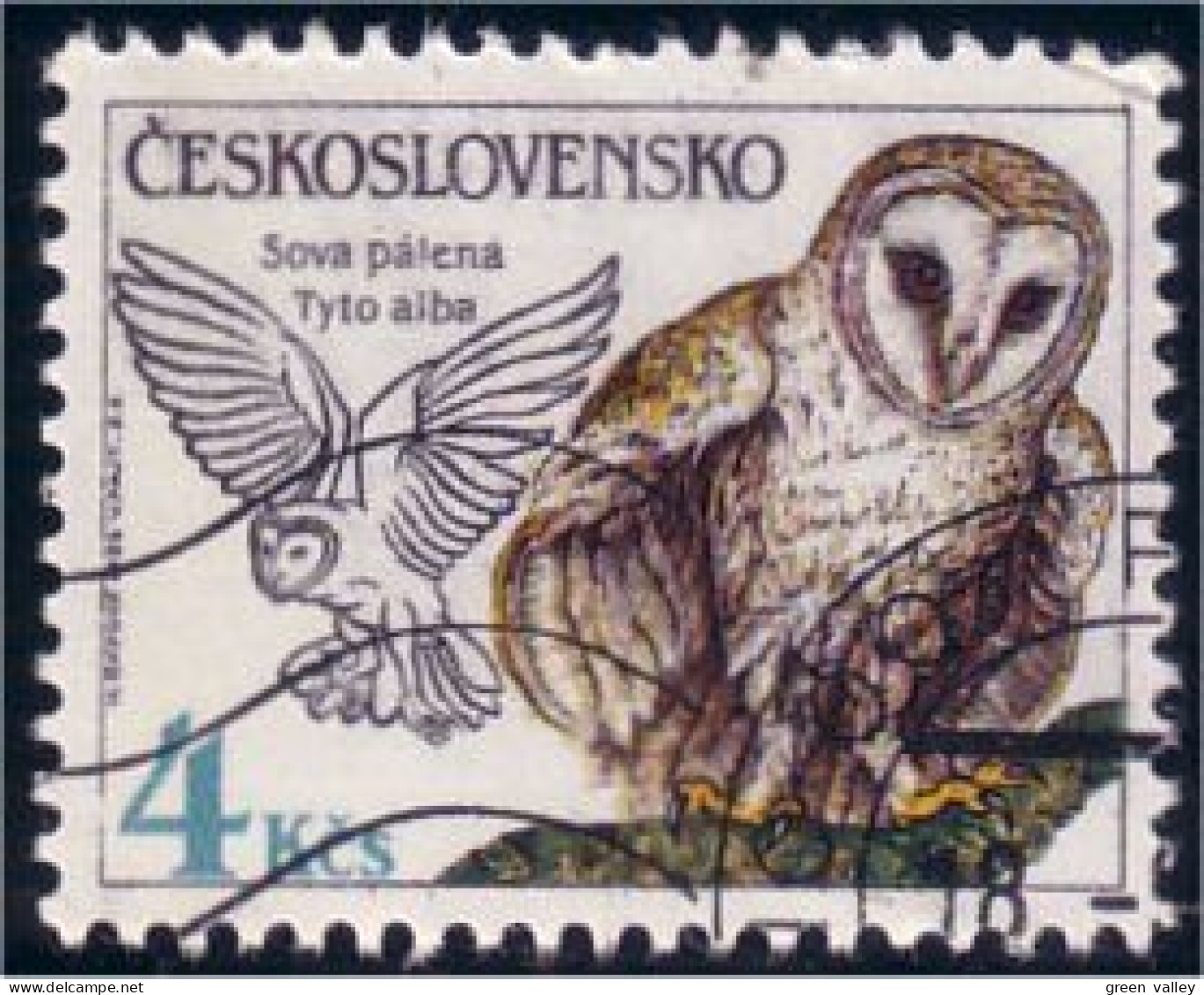 290 Czechoslovakia Hibou Chouette Owl Eule (CZE-34) - Hiboux & Chouettes