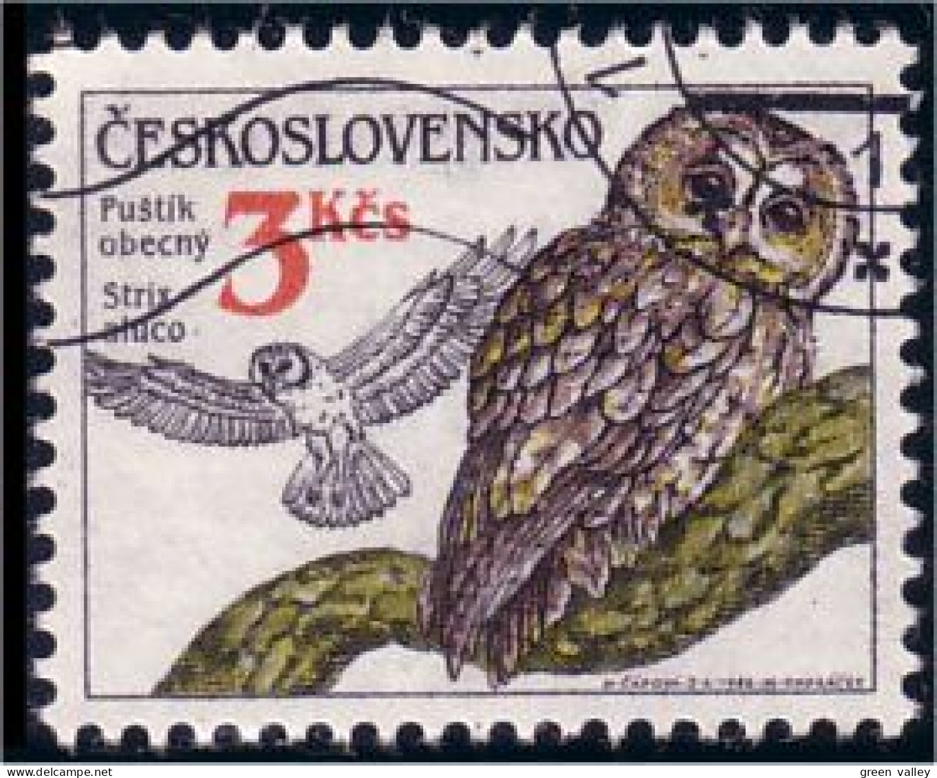 290 Czechoslovakia Hibou Chouette Owl Eule (CZE-32) - Uilen