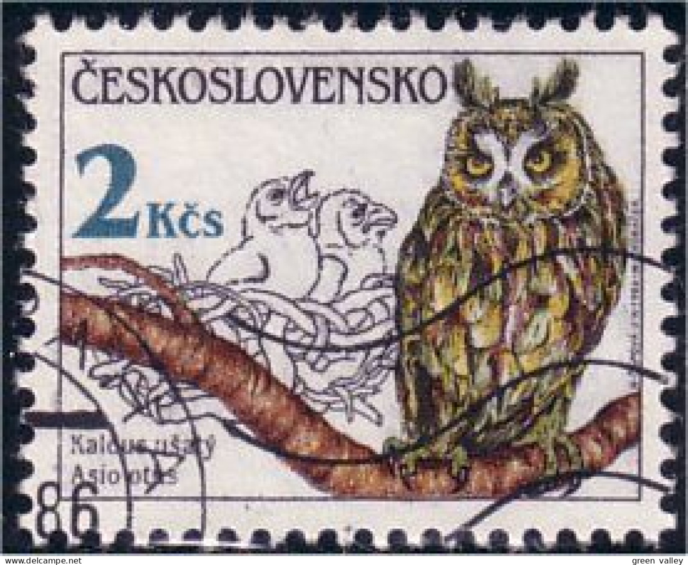 290 Czechoslovakia Hibou Chouette Owl Eule (CZE-31) - Eulenvögel