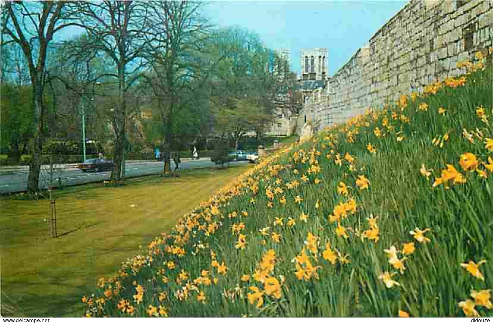 Royaume Uni - York - The City Walls - CPM - UK - Voir Scans Recto-Verso - York