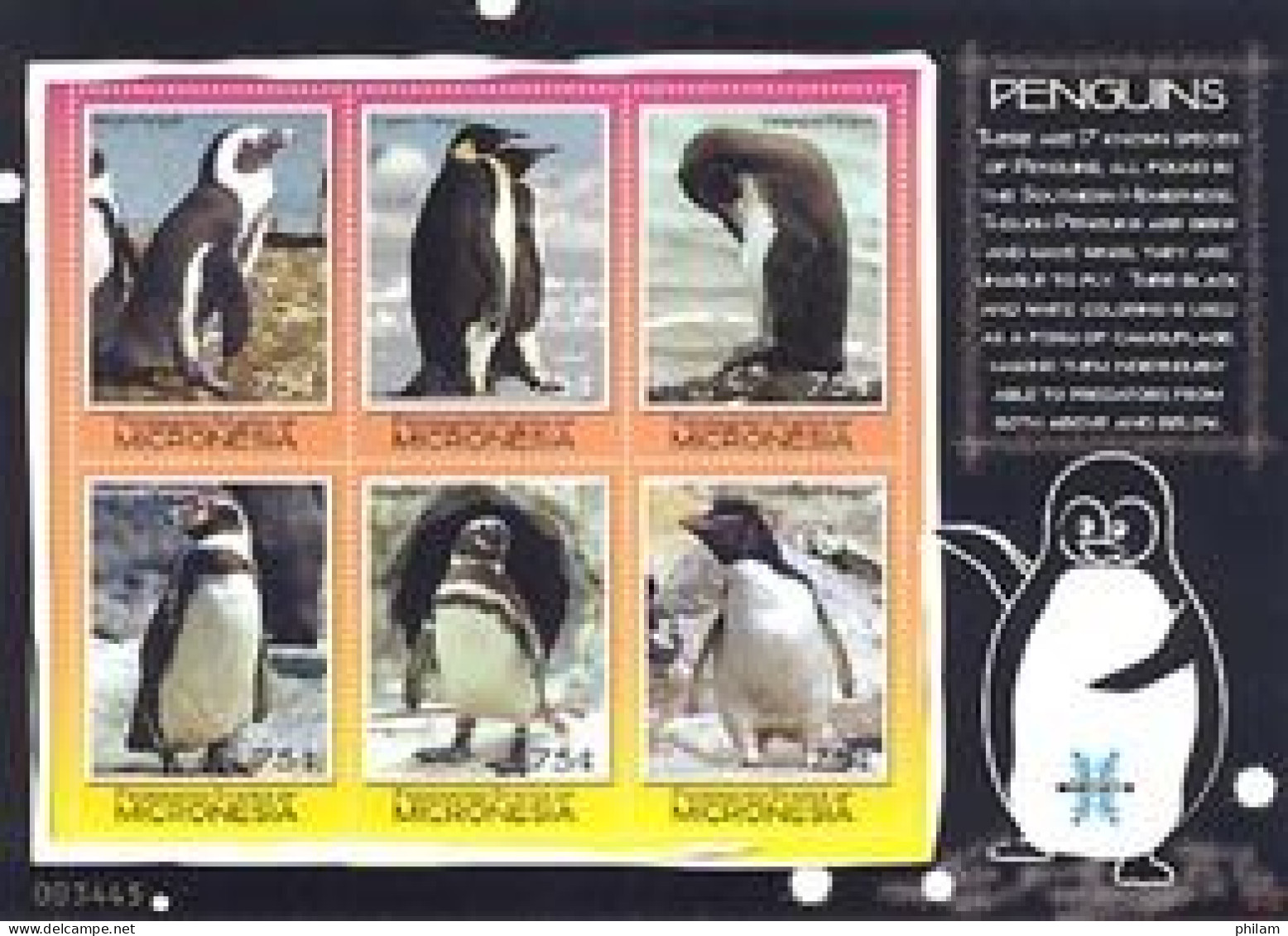 MICRONESIE 2007 - Pingouins Et Manchots - 6 V. - Pingouins & Manchots