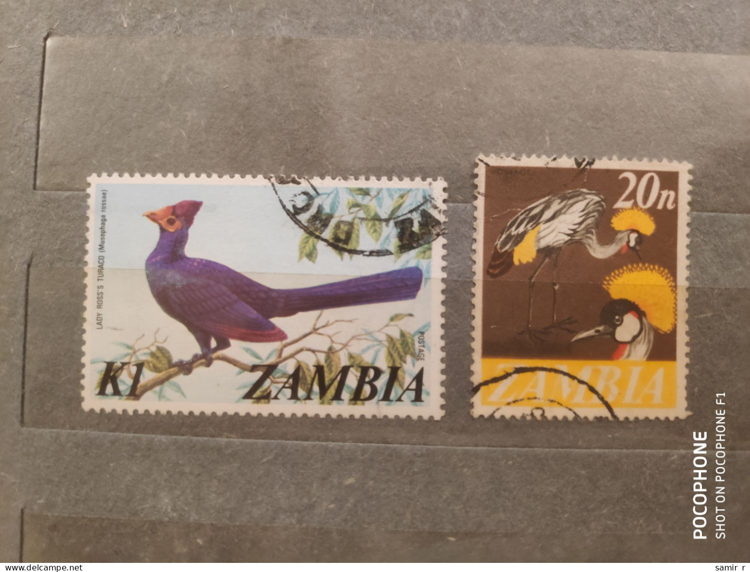 Zambia	Birds (F84) - Zambie (1965-...)