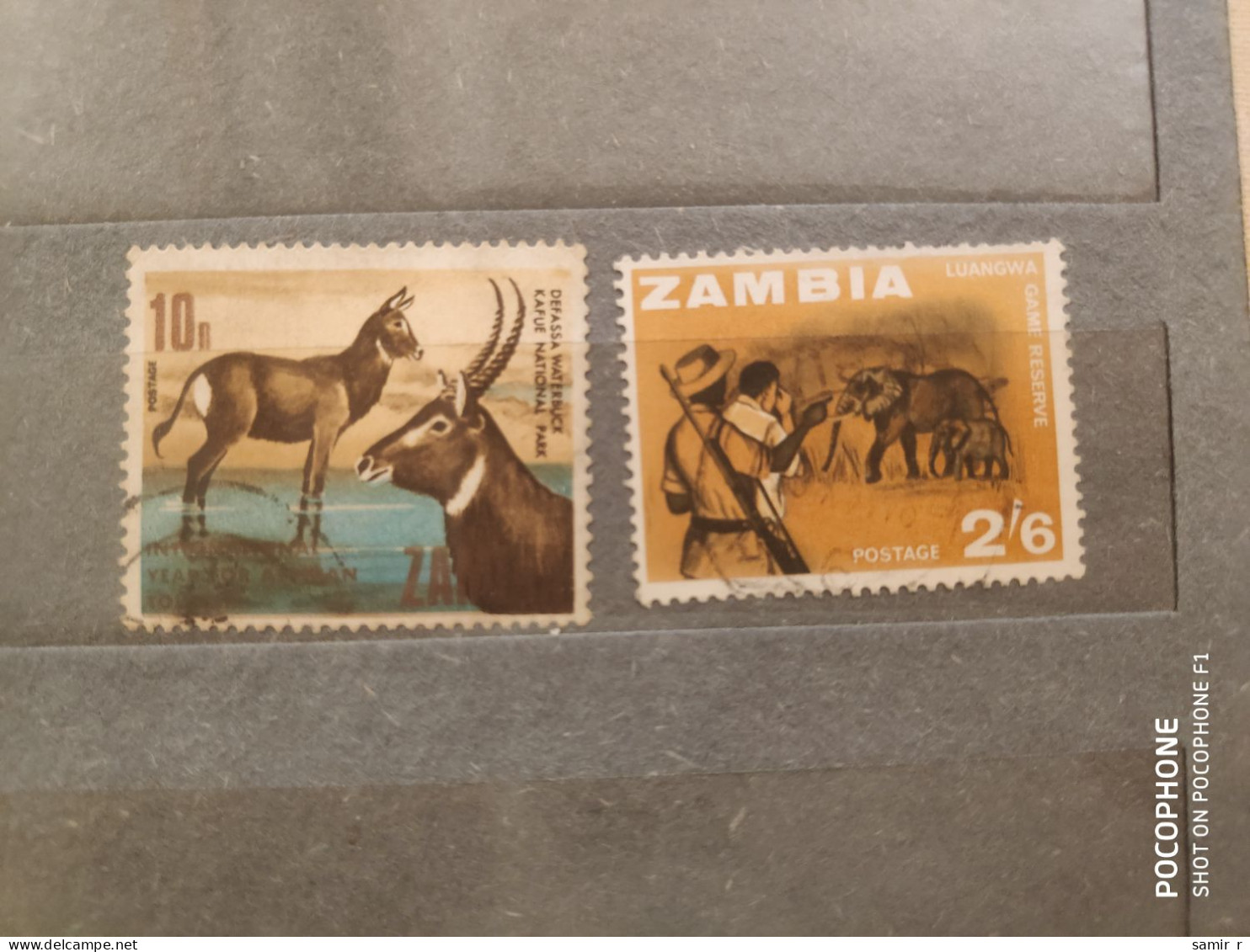 Zambia	Animals  (F84) - Zambia (1965-...)