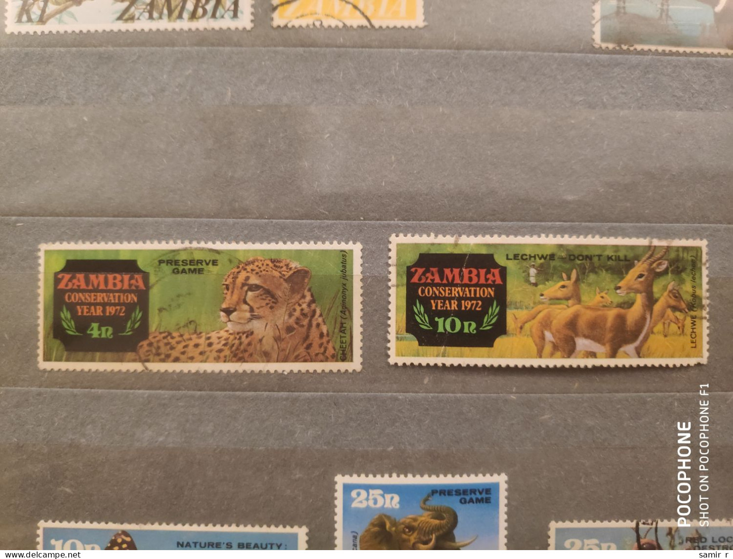 Zambia	Animals   (F84) - Zambia (1965-...)