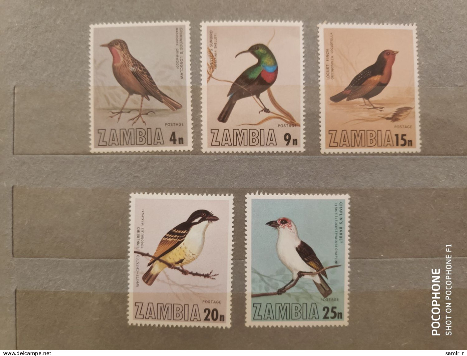 1977	Zambia	Birds  (F84) - Zambie (1965-...)
