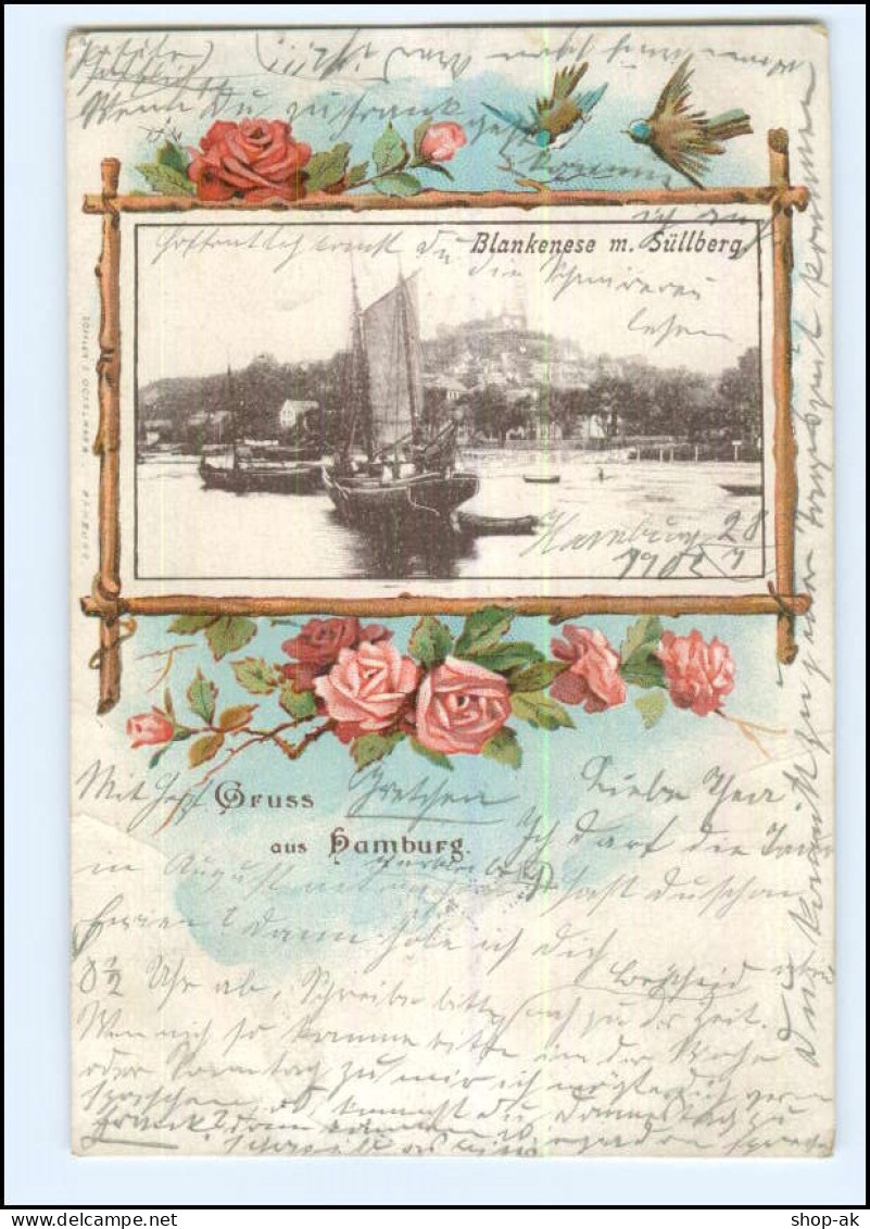 XX11593/ Hamburg Blankenese Mit Süllberg 1902 Litho AK - Blankenese