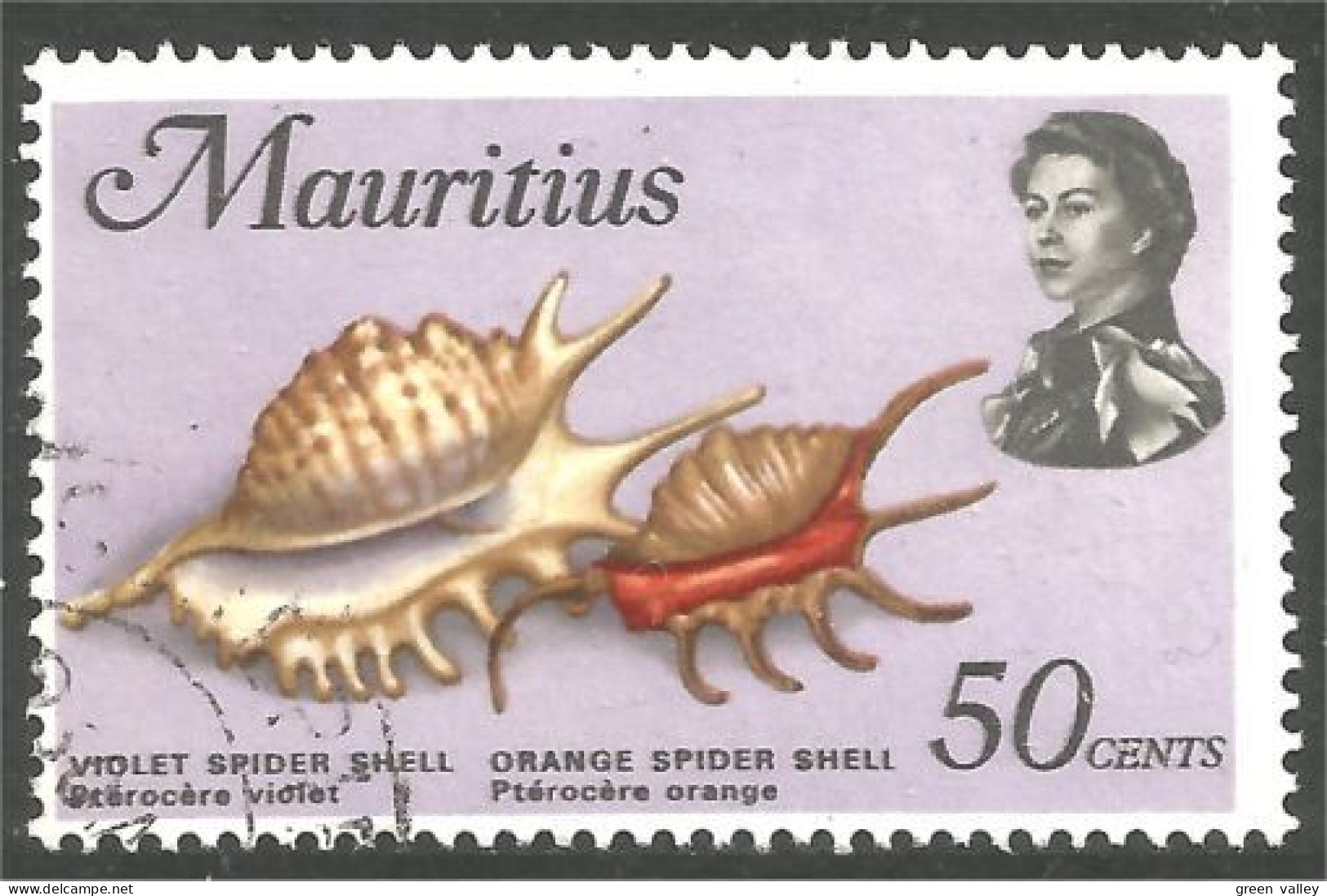 640 Mauritius Ile Maurice Coquillage Violet Orange Spider Shell (MRC-90a) - Mauricio (1968-...)