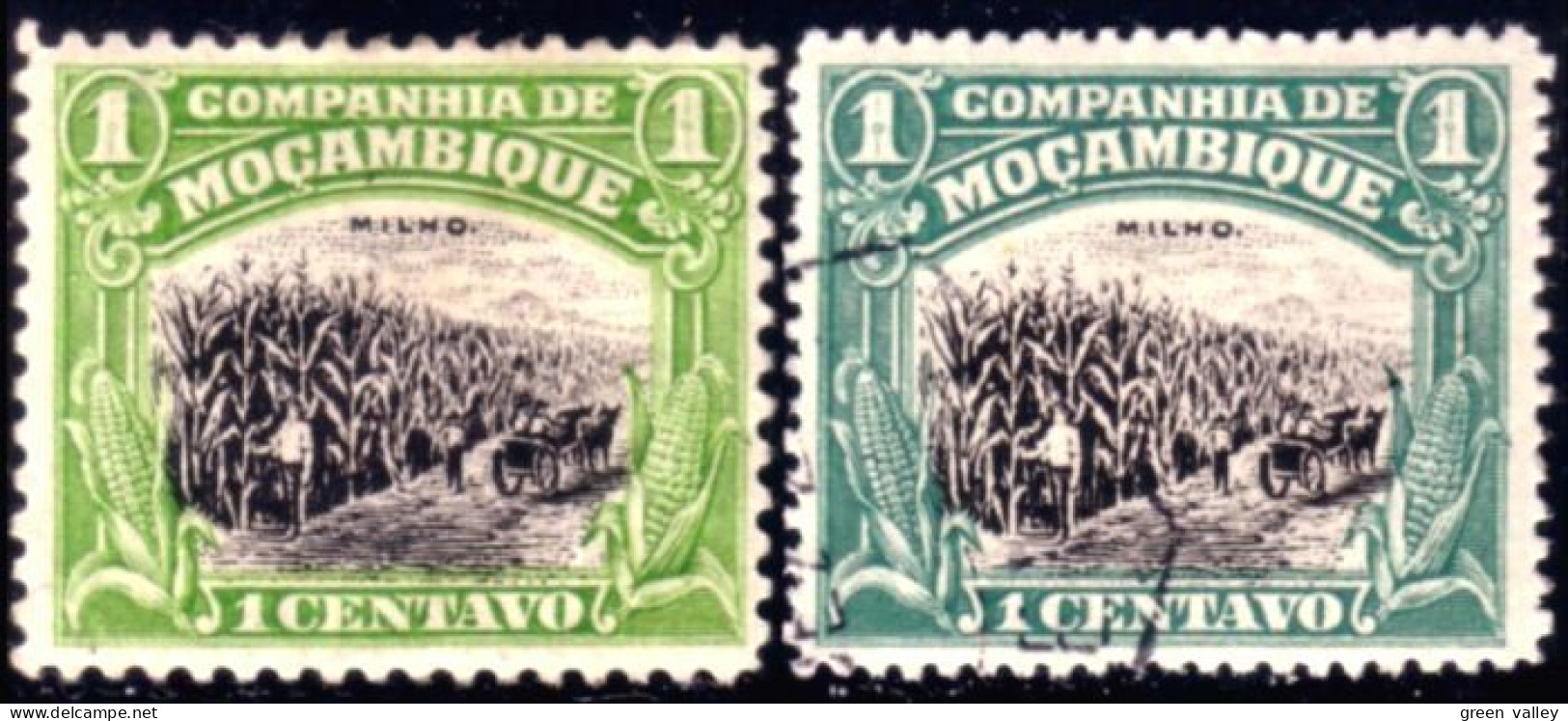 638 Mozambique Corn Mais Milho (MOZ-58) - Alimentación