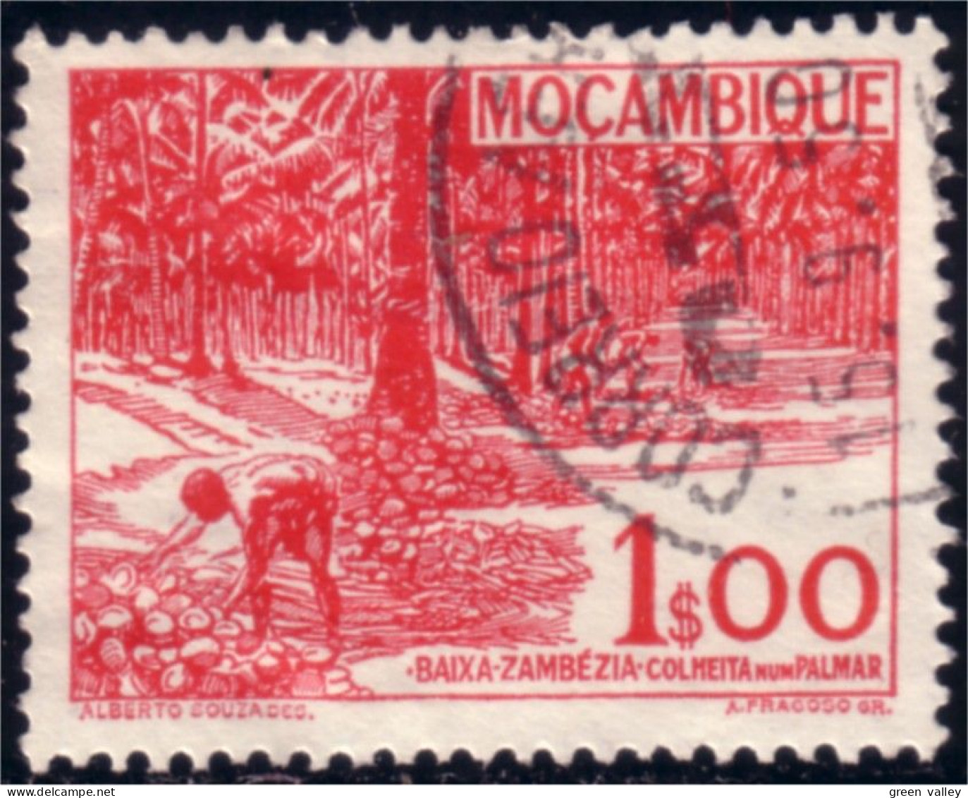 638 Mozambique Coconut Tree Noix Coco Cocotier (MOZ-8) - Alimentación