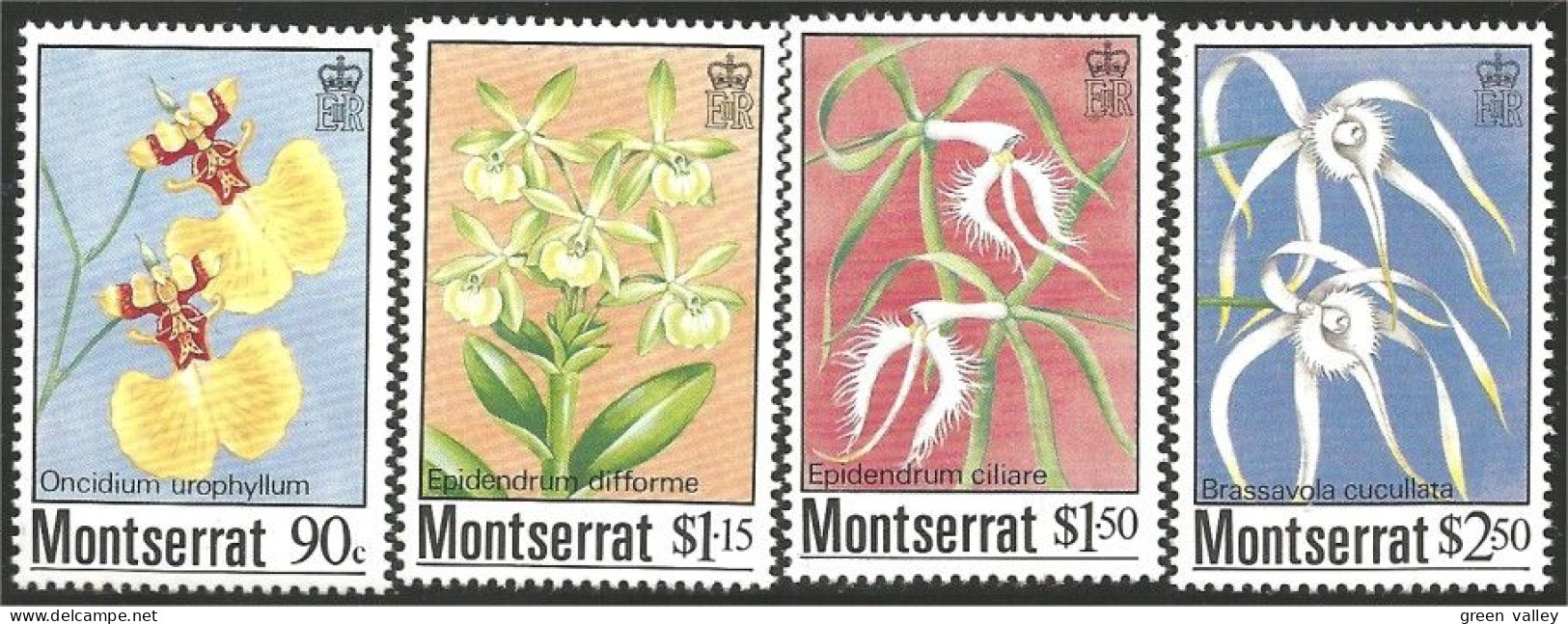 646 Ile Montserrat Orchid Orchidee Orchidées MNH ** Neuf SC (MSE-33b) - Otros & Sin Clasificación