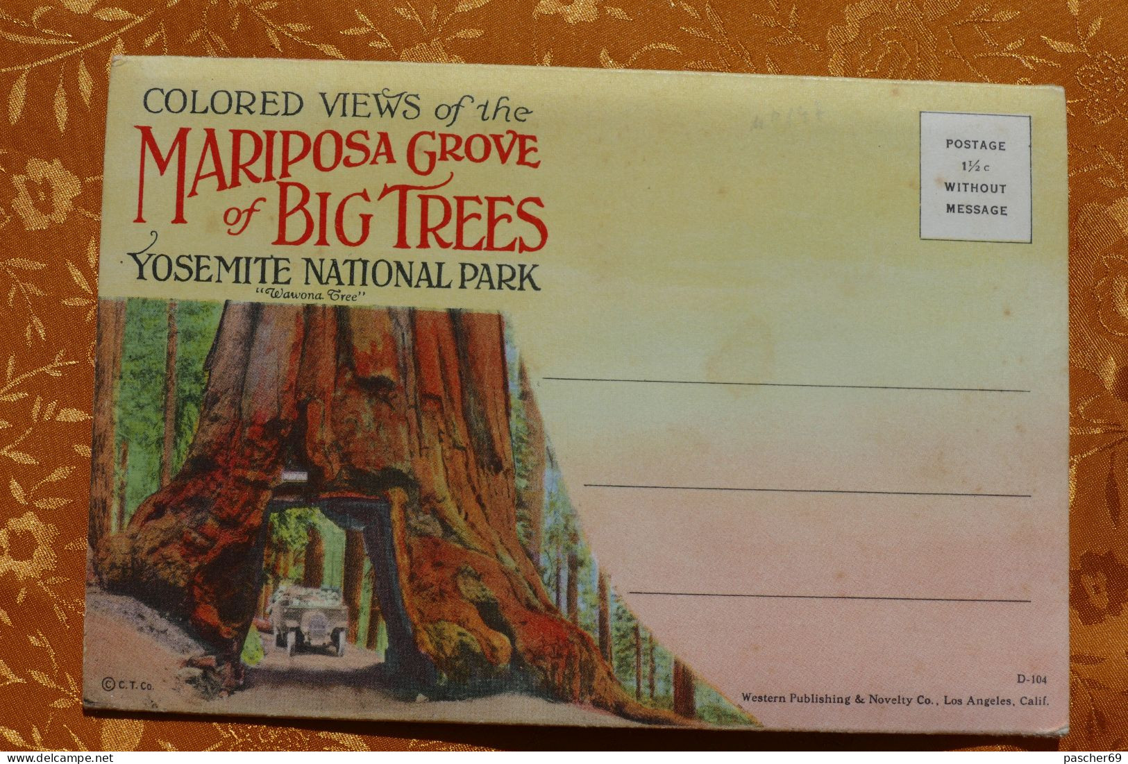Mariposa Grove Of Big Trees - Yosemite National  Park  / BZ 147R - Trees