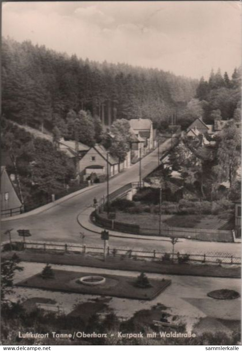 44004 - Tanne, Harz - Kurpark Mit Waldstrasse - 1968 - Halberstadt