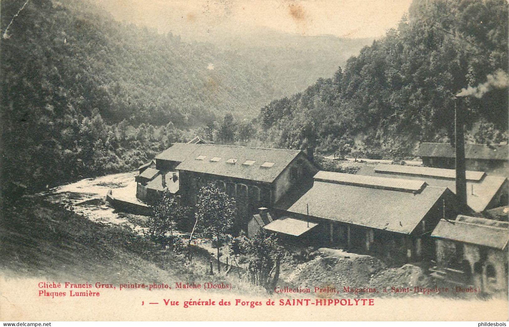 DOUBS  SAINT HIPPOLYTE   Vue Générale Des Forges - Saint Hippolyte