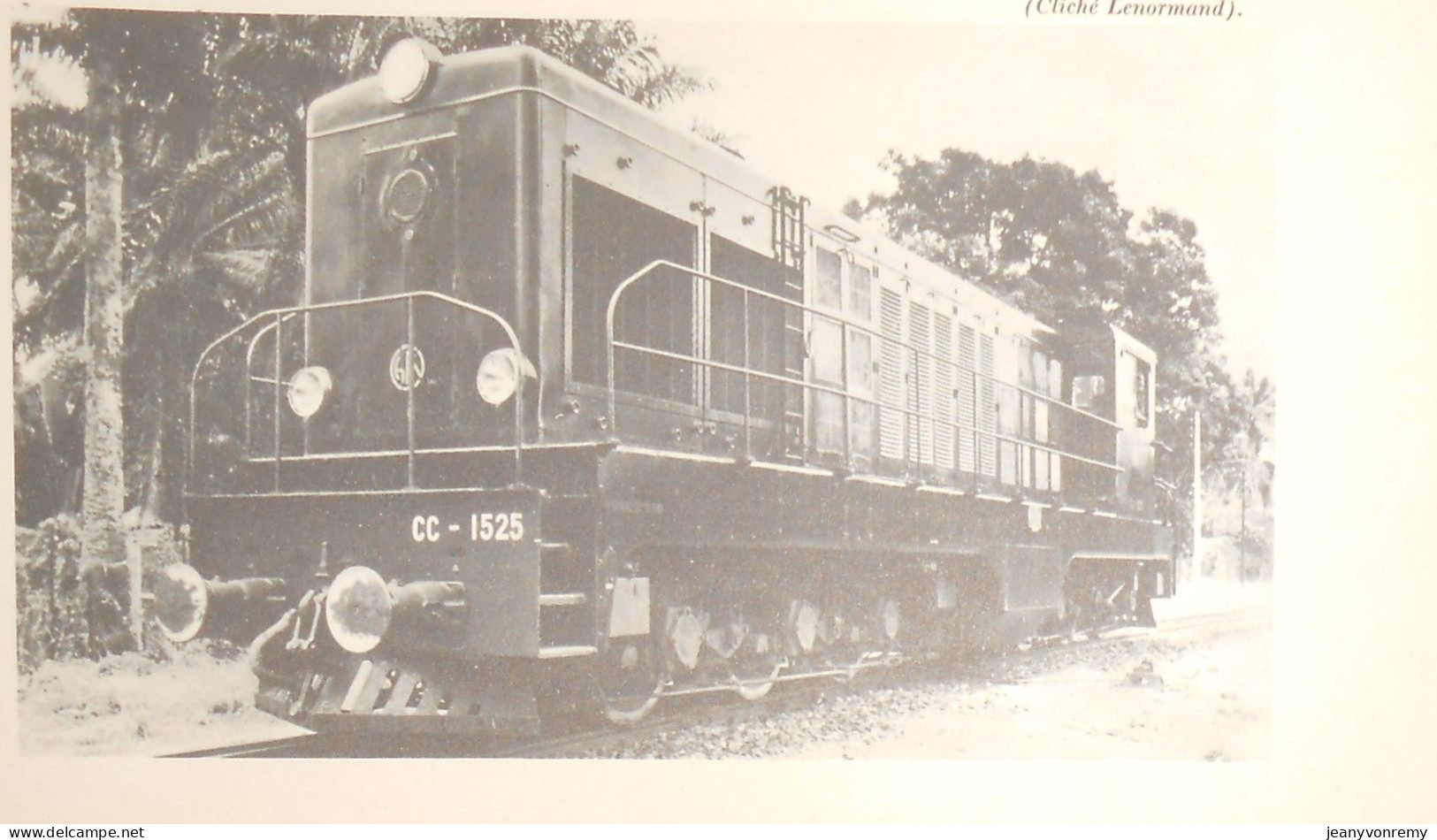 Autour des Chemins de Fer français. Le présent. L'avenir. 1966