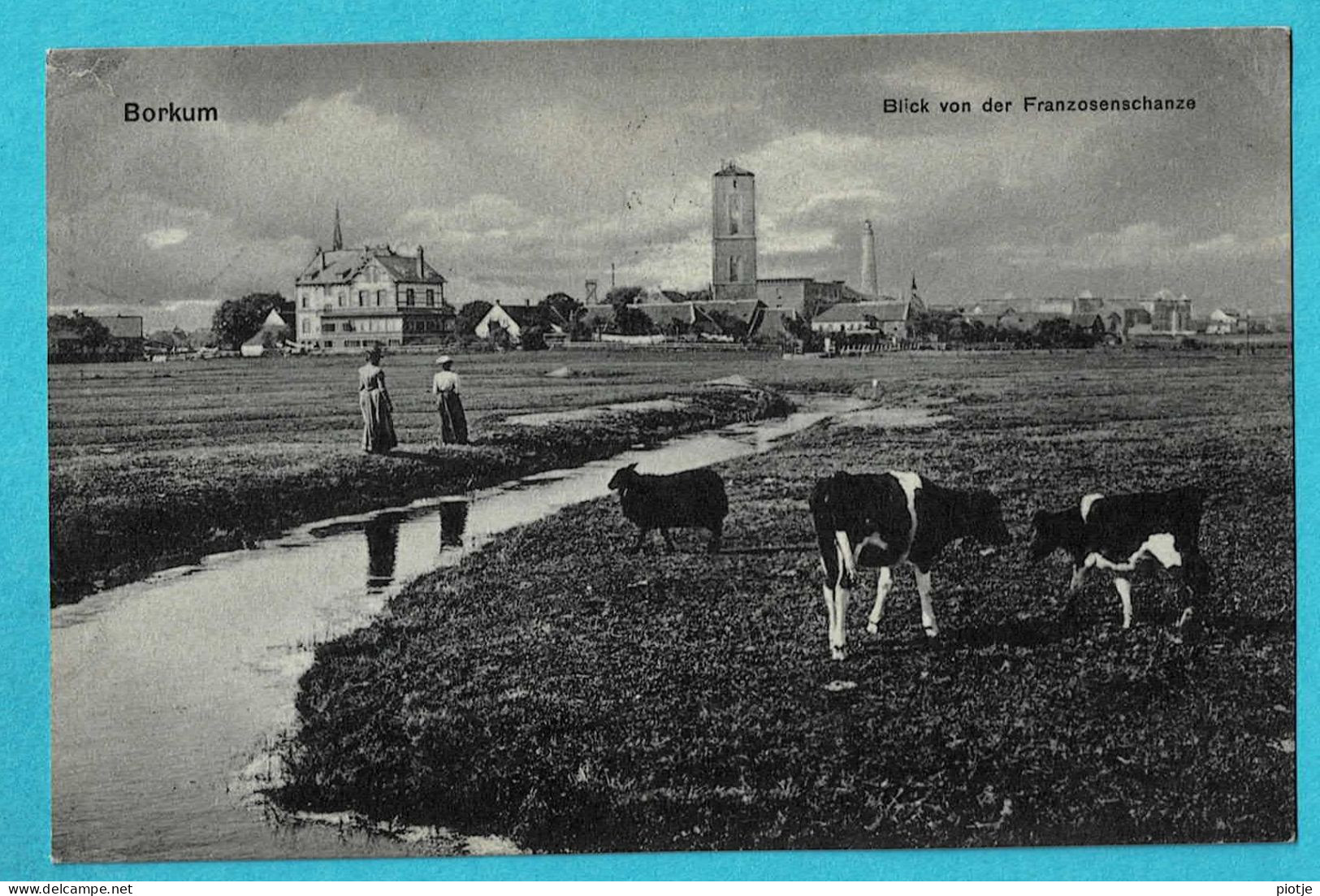 * Borkum (Nedersaksen - Deutschland) * (Richard Gehrmann) Blick Von Der Franzosenschanze, Vache, Cow, Koe, TOP - Borkum