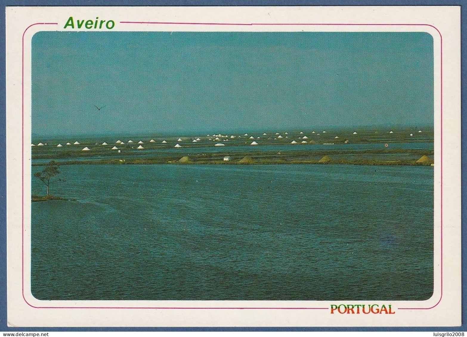Aveiro - Salinas - Aveiro