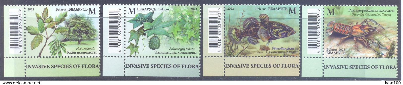 2023. Belarus, Invasive Species Of Flora And Fauna Of Belarus, 4v, Mint/** - Belarus