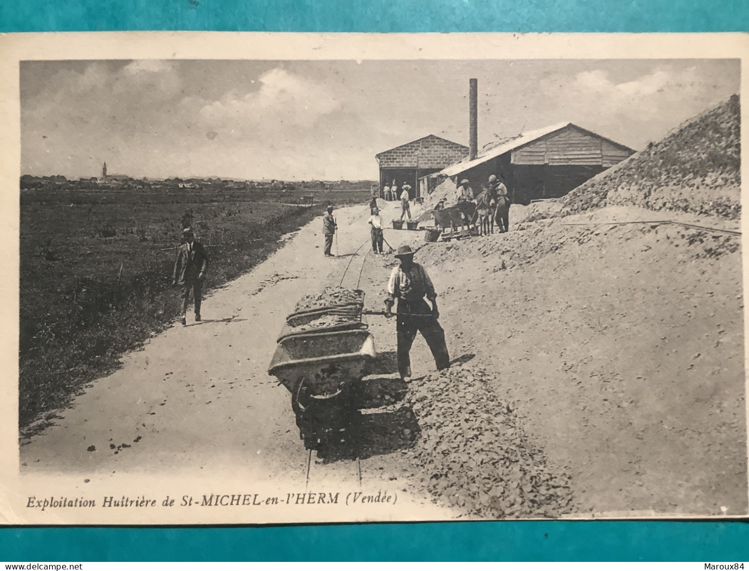 85/ St Michel En L’herm Exploitation Huîtrière - Saint Michel En L'Herm