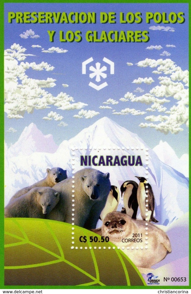 NICARAGUA 2011 POLAR YEAR - Otros & Sin Clasificación