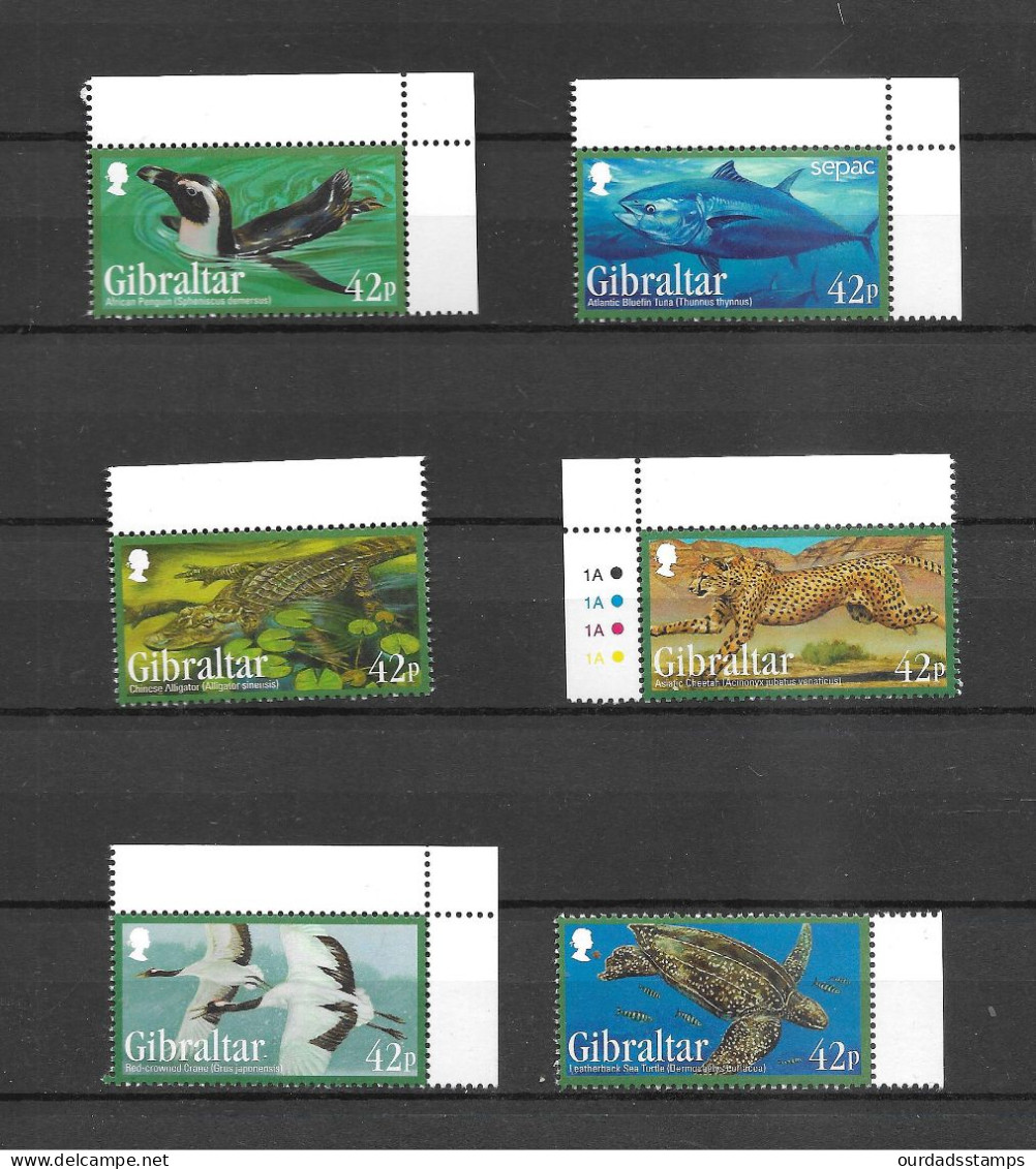 Gibraltar 2013 Endangered Animals (3rd Series) Complete Set MNH Marginals (G450) - Gibraltar