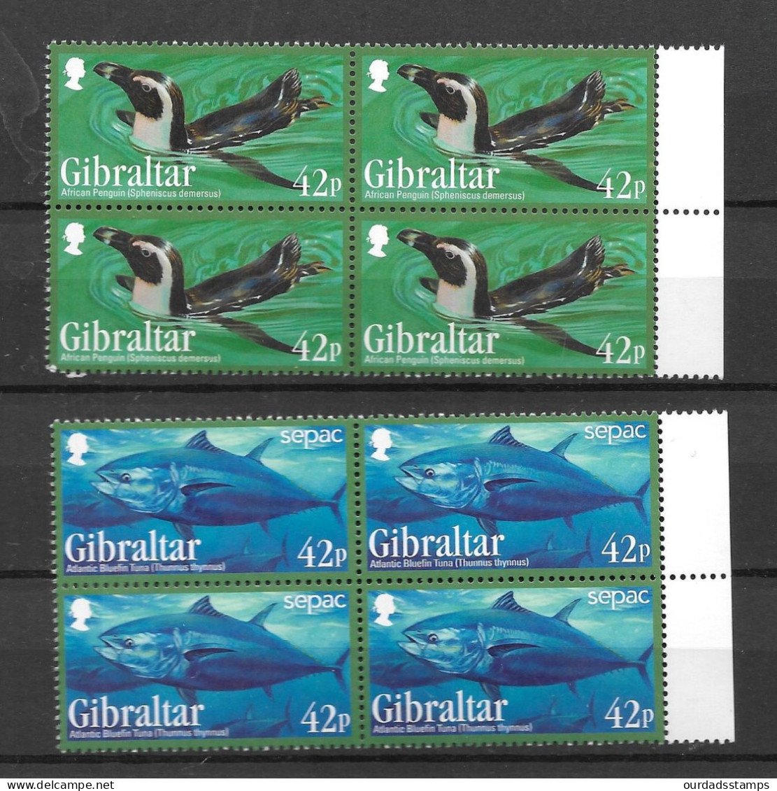 Gibraltar 2013 Endangered Animals (3rd Series) Complete Set In MNH Blocks Of 4 (G451) - Gibraltar