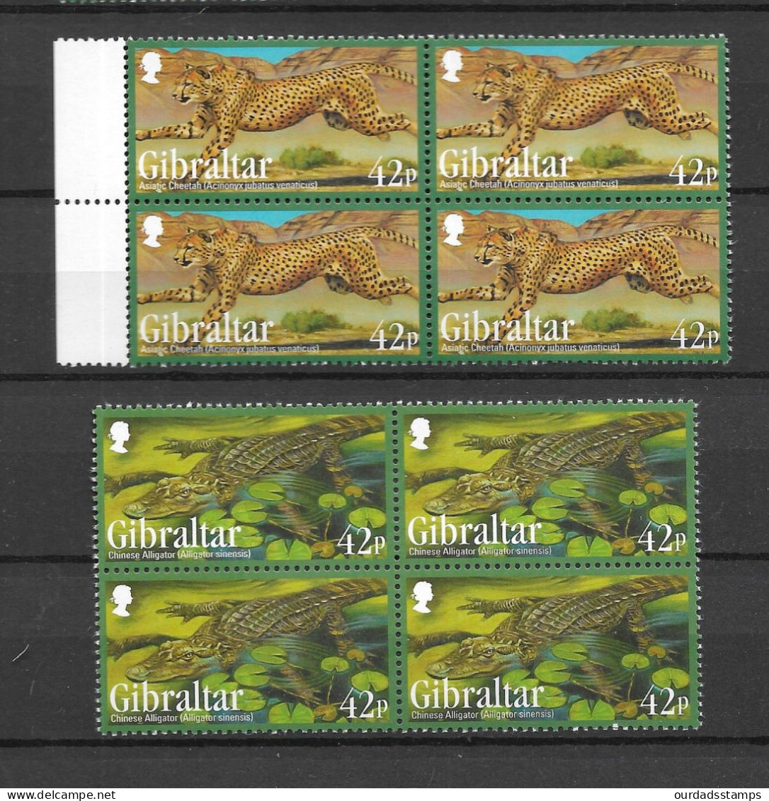 Gibraltar 2013 Endangered Animals (3rd Series) Complete Set In MNH Blocks Of 4 (G451) - Gibraltar
